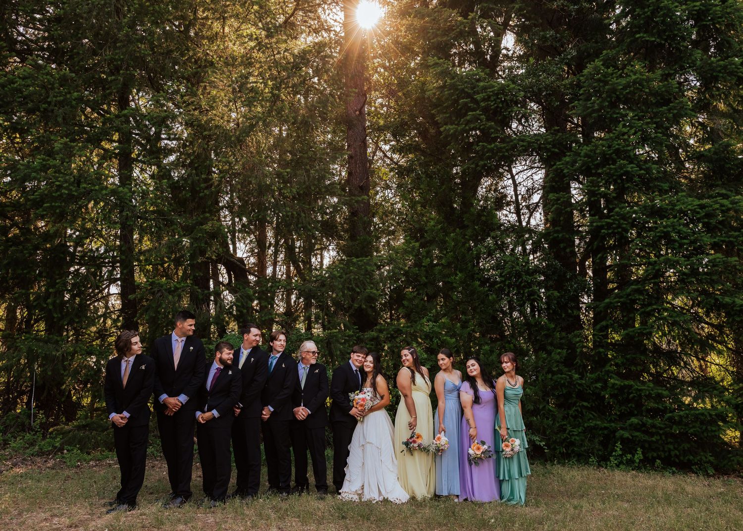 Wedding party posing in forest with sunlight streaming through trees, bridesmaids in colorful gowns and groomsmen in dark suits.