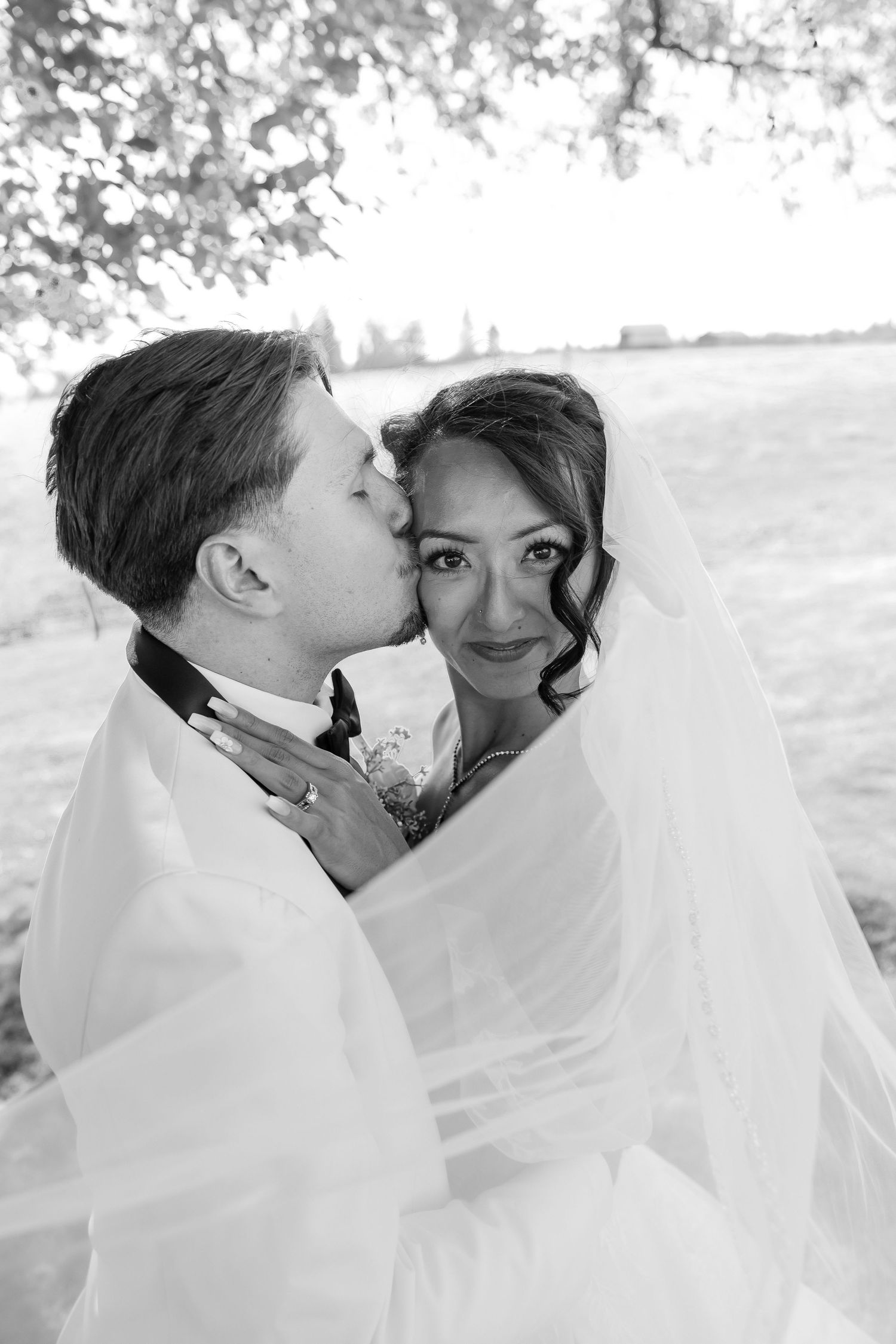 Black and white photo of groom kissing bride on cheek, wrapped in veil under tree.