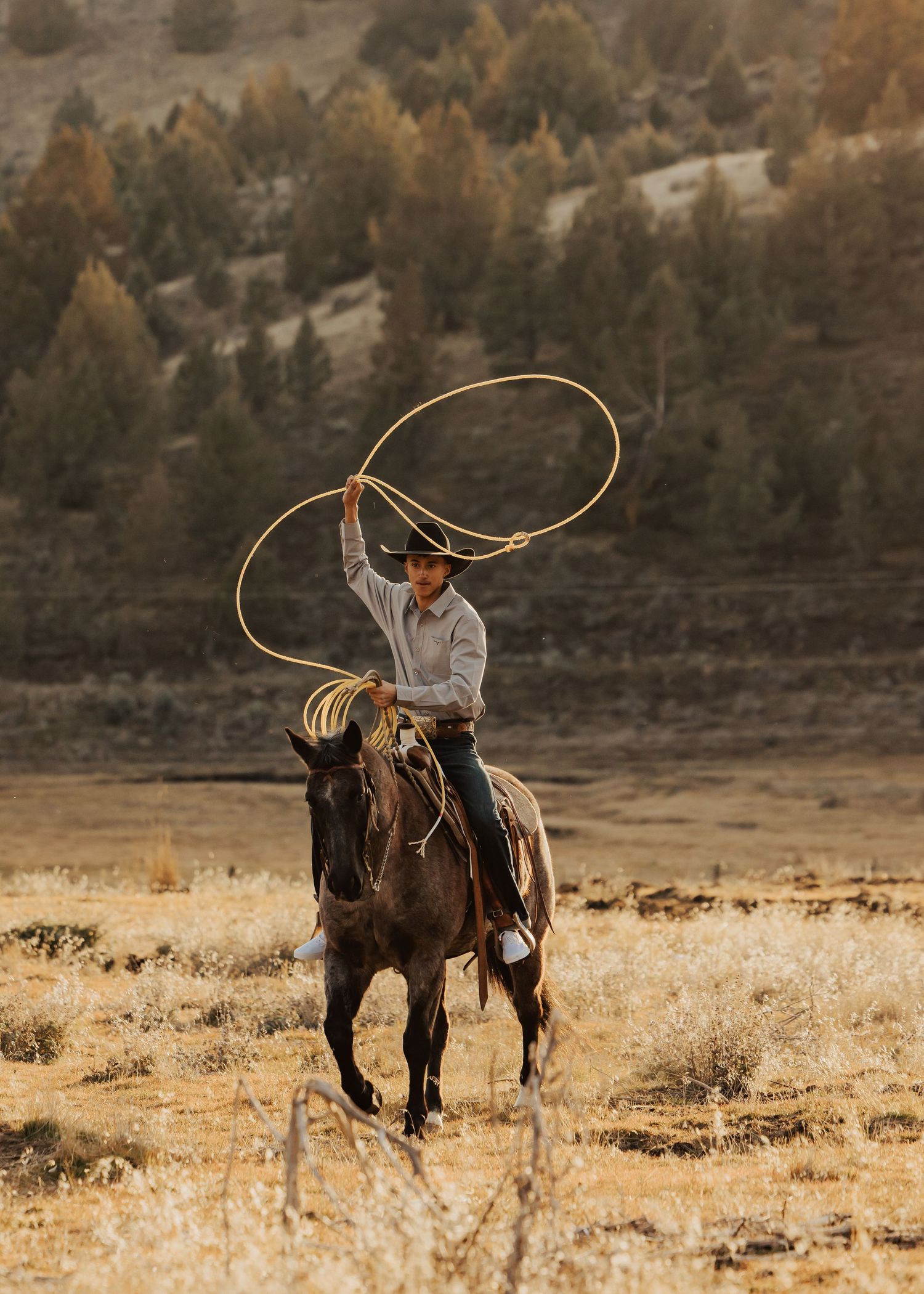A cowboy on horseback swings a lasso overhead in a golden field with tree-covered hills in the background.