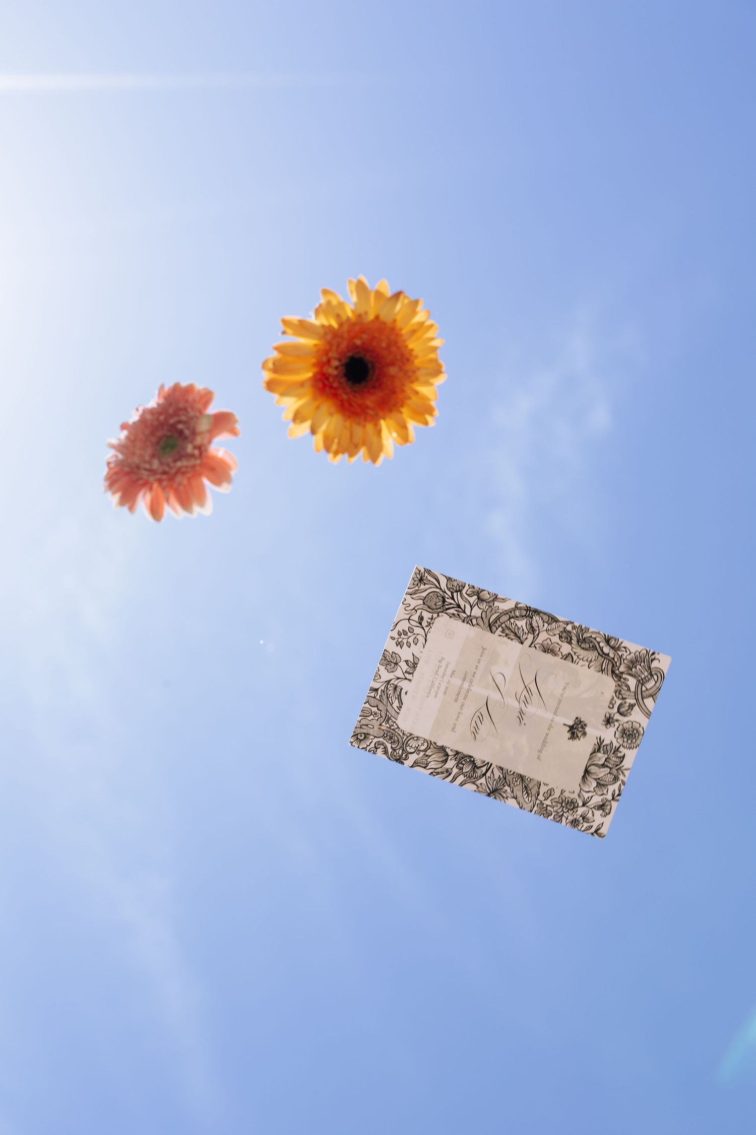 Two vibrant gerbera daisies and an ornate silver frame float against a bright blue sky.