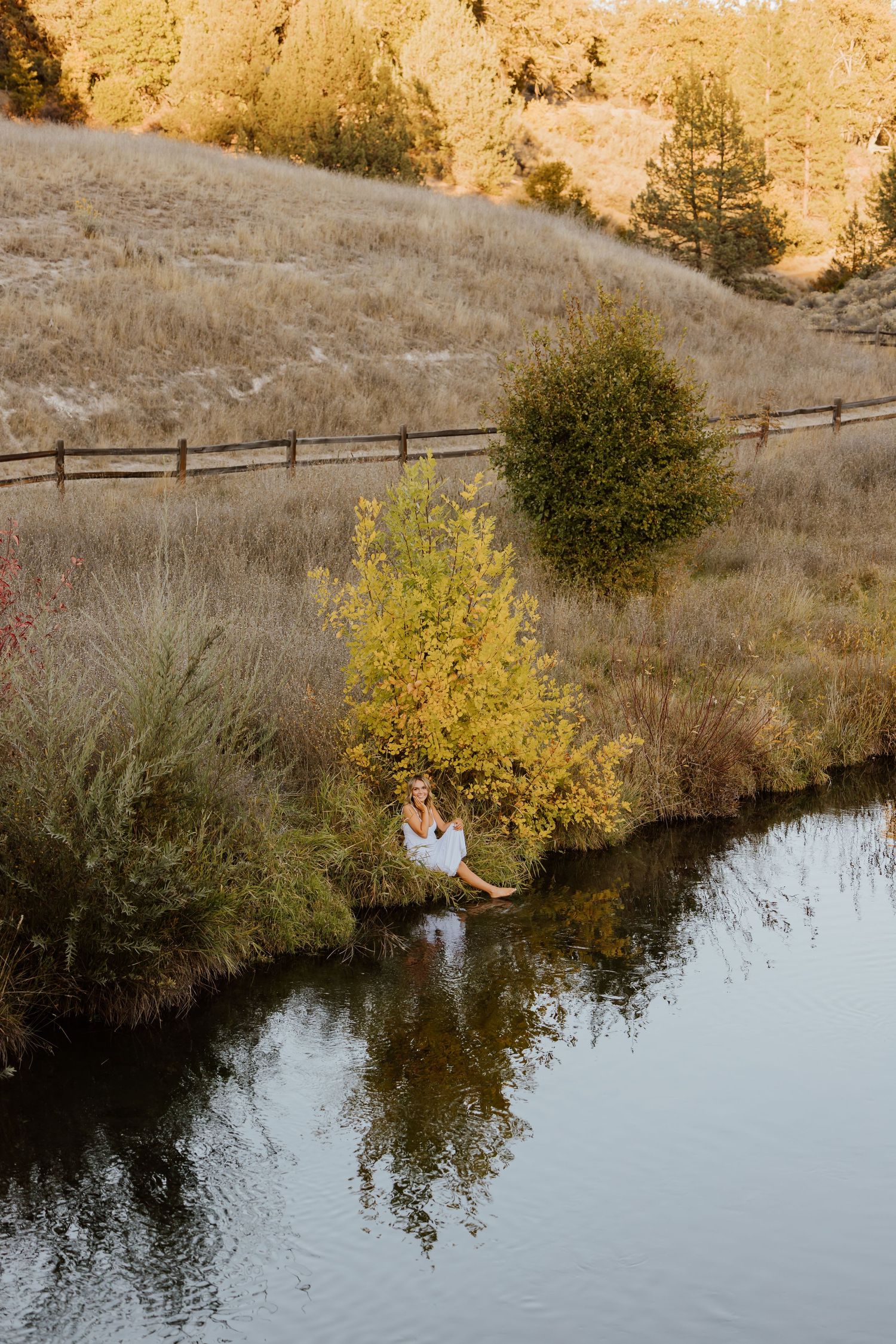 Person in white dress sits in yellow tree above reflective water during golden hour.