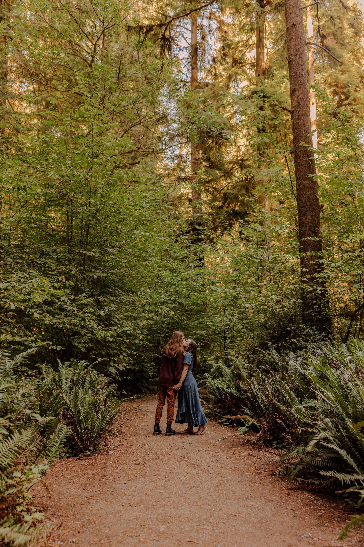 Forest pathway engagement session surrounded by towering redwoods and lush ferns.