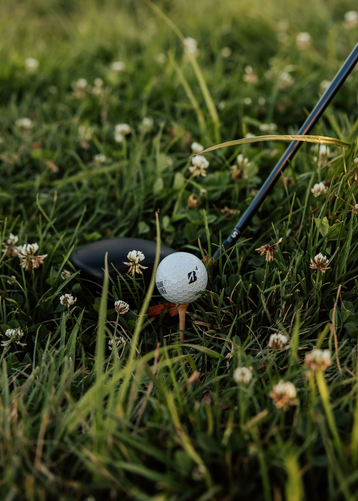 A golf ball lies in green grass surrounded by small white wildflowers.