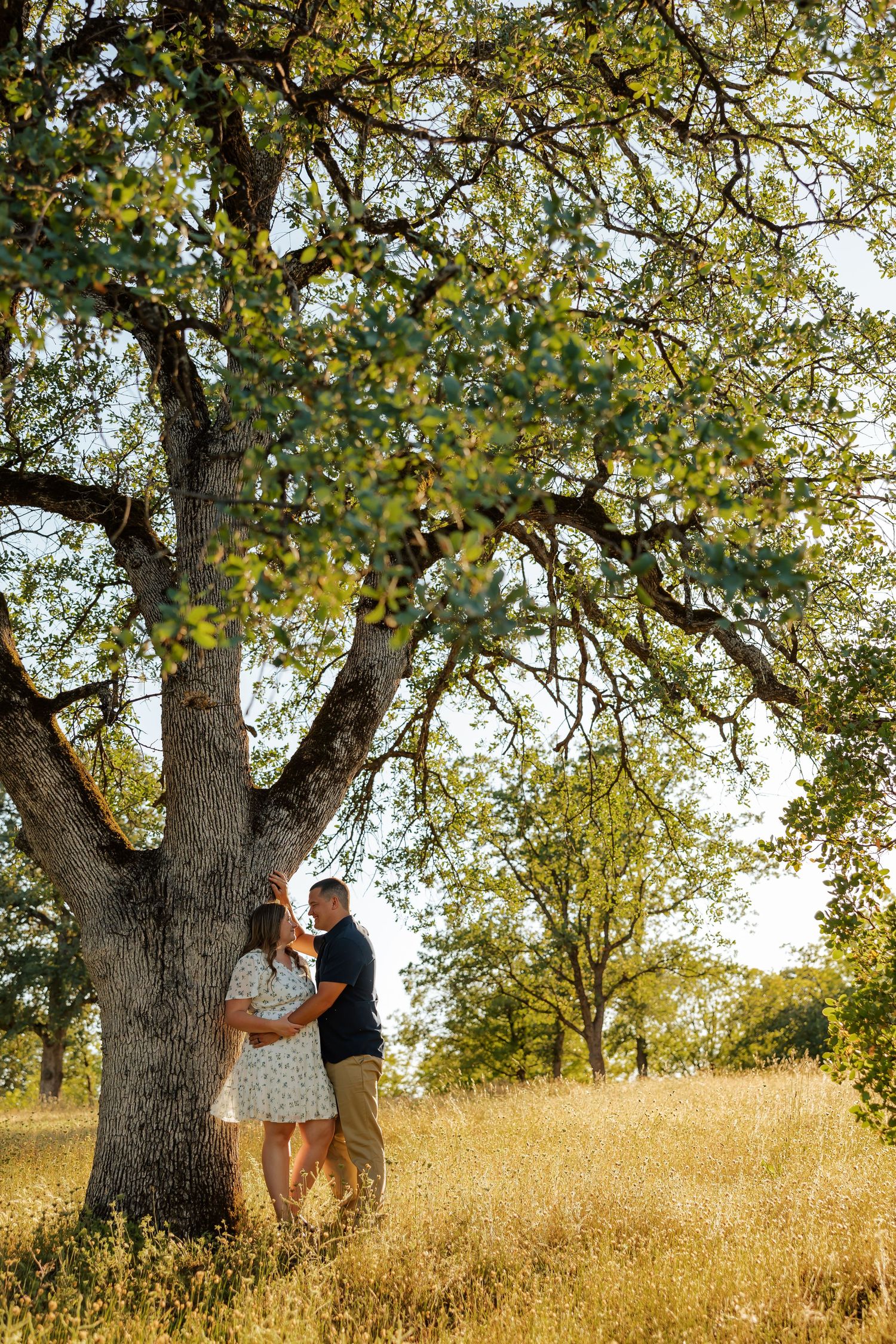 Couple embracing under large oak tree in golden meadow, woman in floral dress, romantic outdoor portrait.