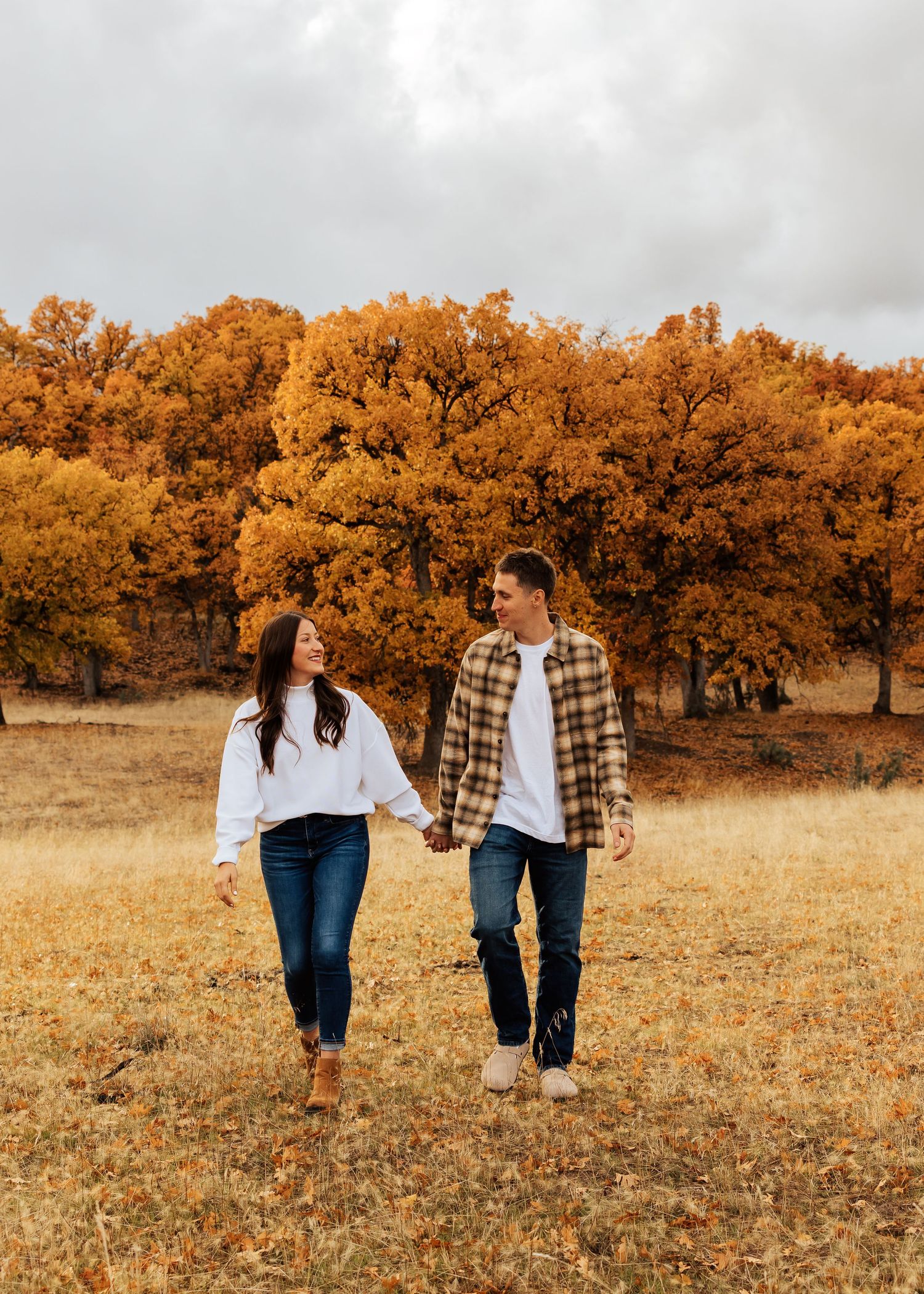Couple walking hand in hand through a golden autumn field with orange trees in the background.