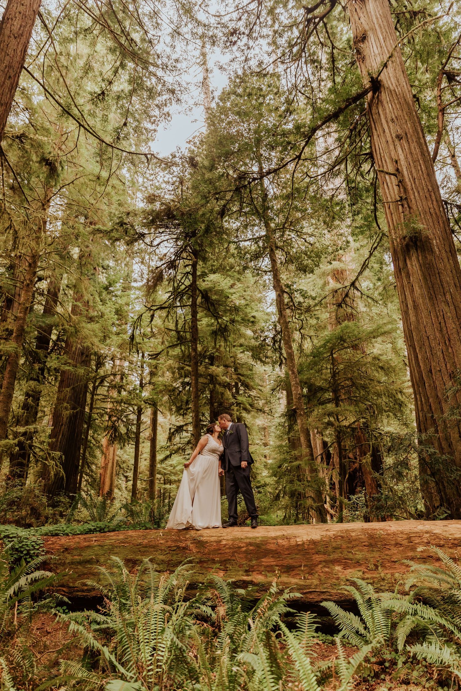 A wedding couple sits together on a fallen redwood log in a serene forest setting.
