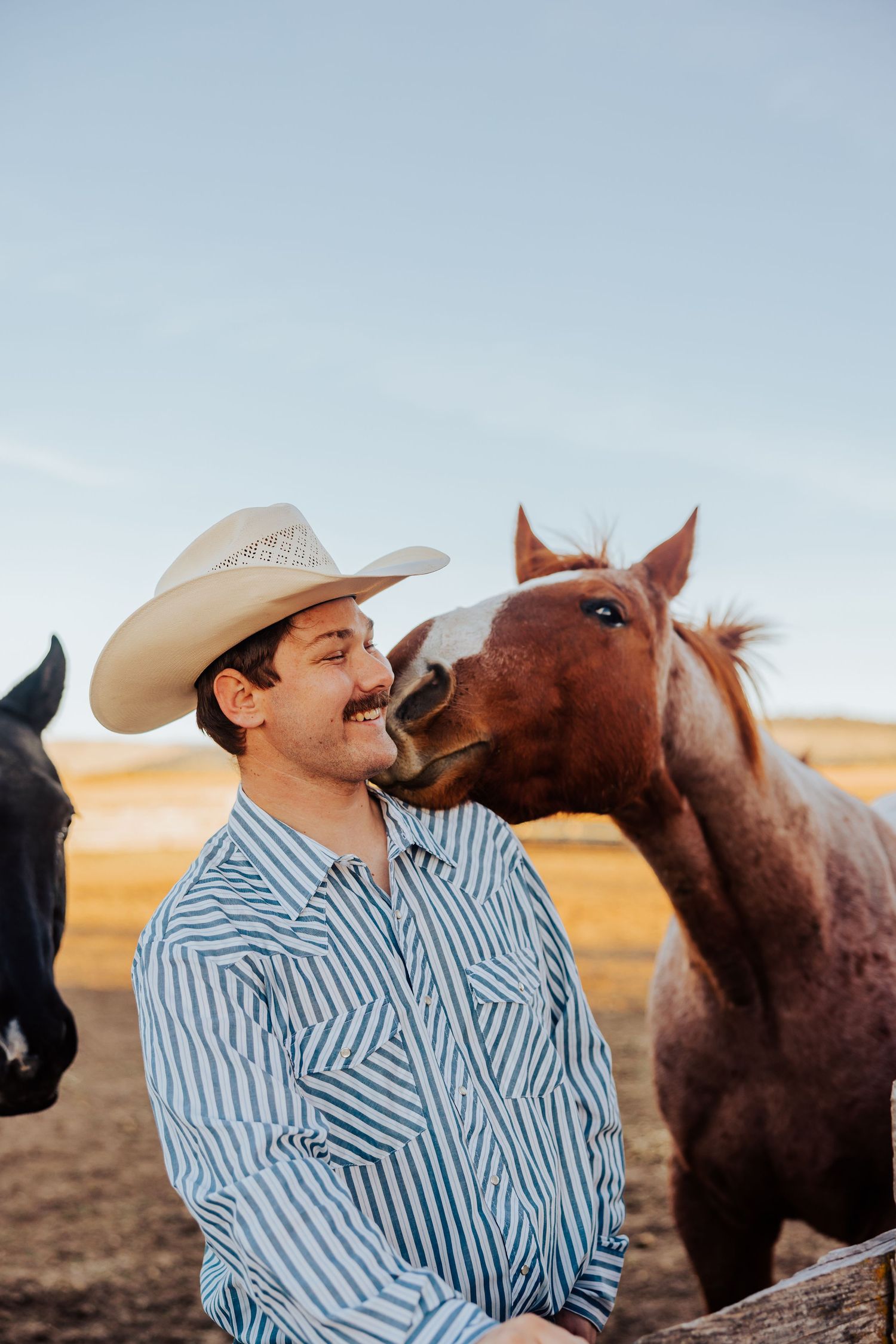 A playful moment with a brown horse during a western-themed engagement shoot.