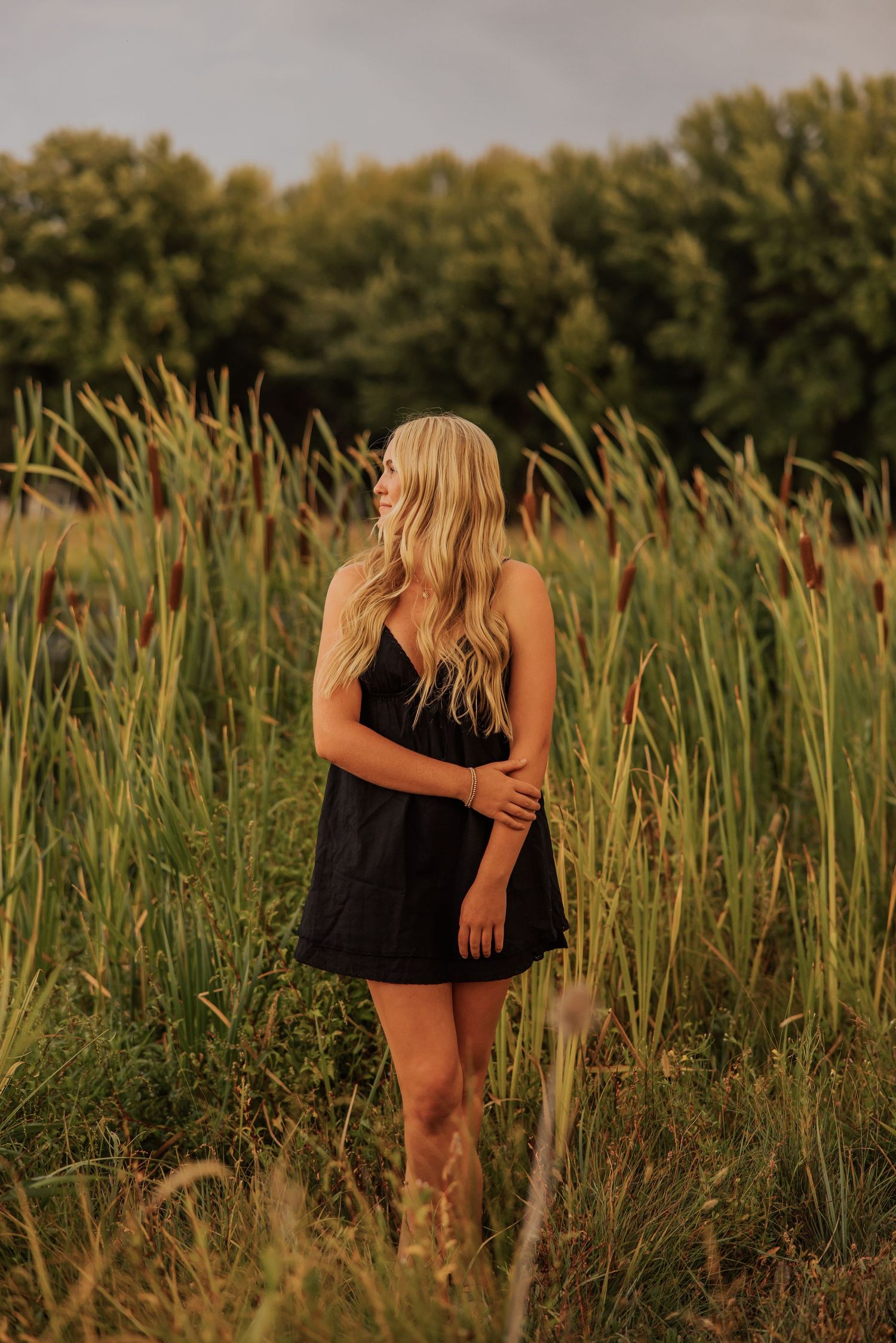 Tall wild grasses sway in a meadow during a warm summer sunset.