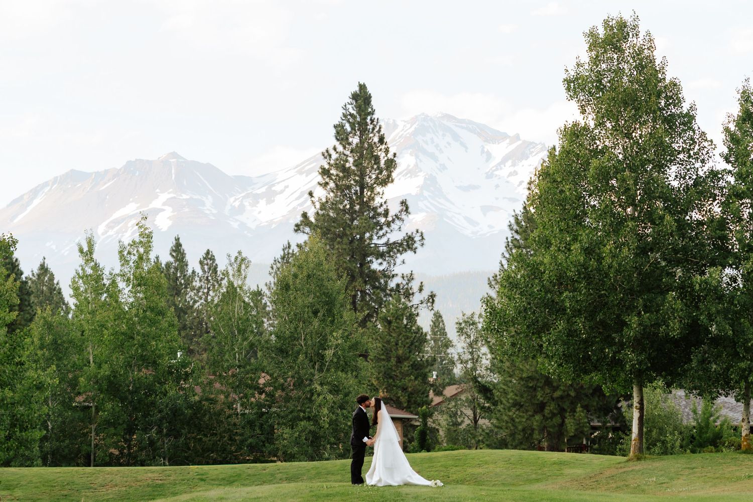 Bride and groom embrace on a green lawn with tall pine trees and snow-capped mountains in the background.