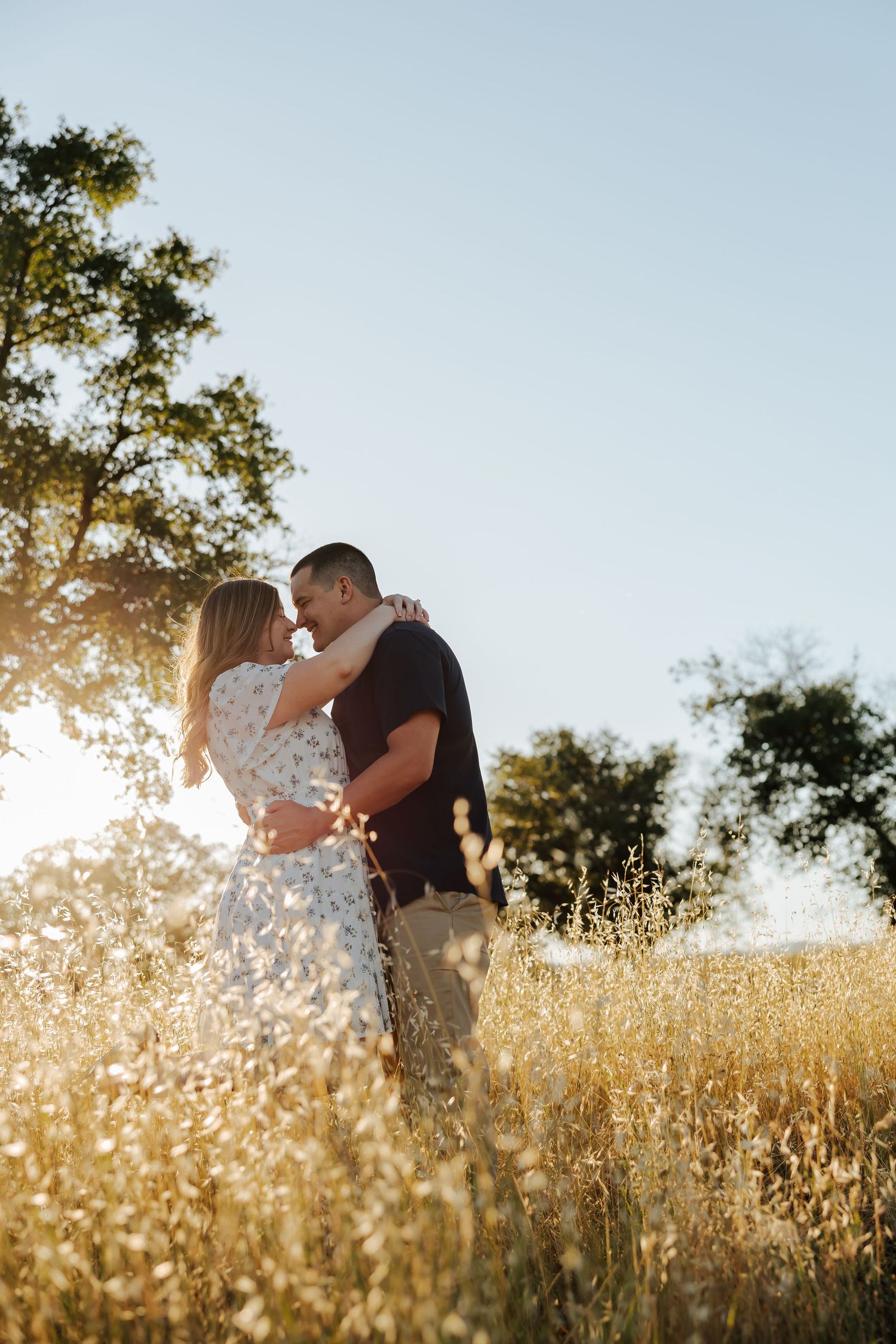 Couple embracing and about to kiss in a sunlit golden field with wildflowers and oak trees in background.