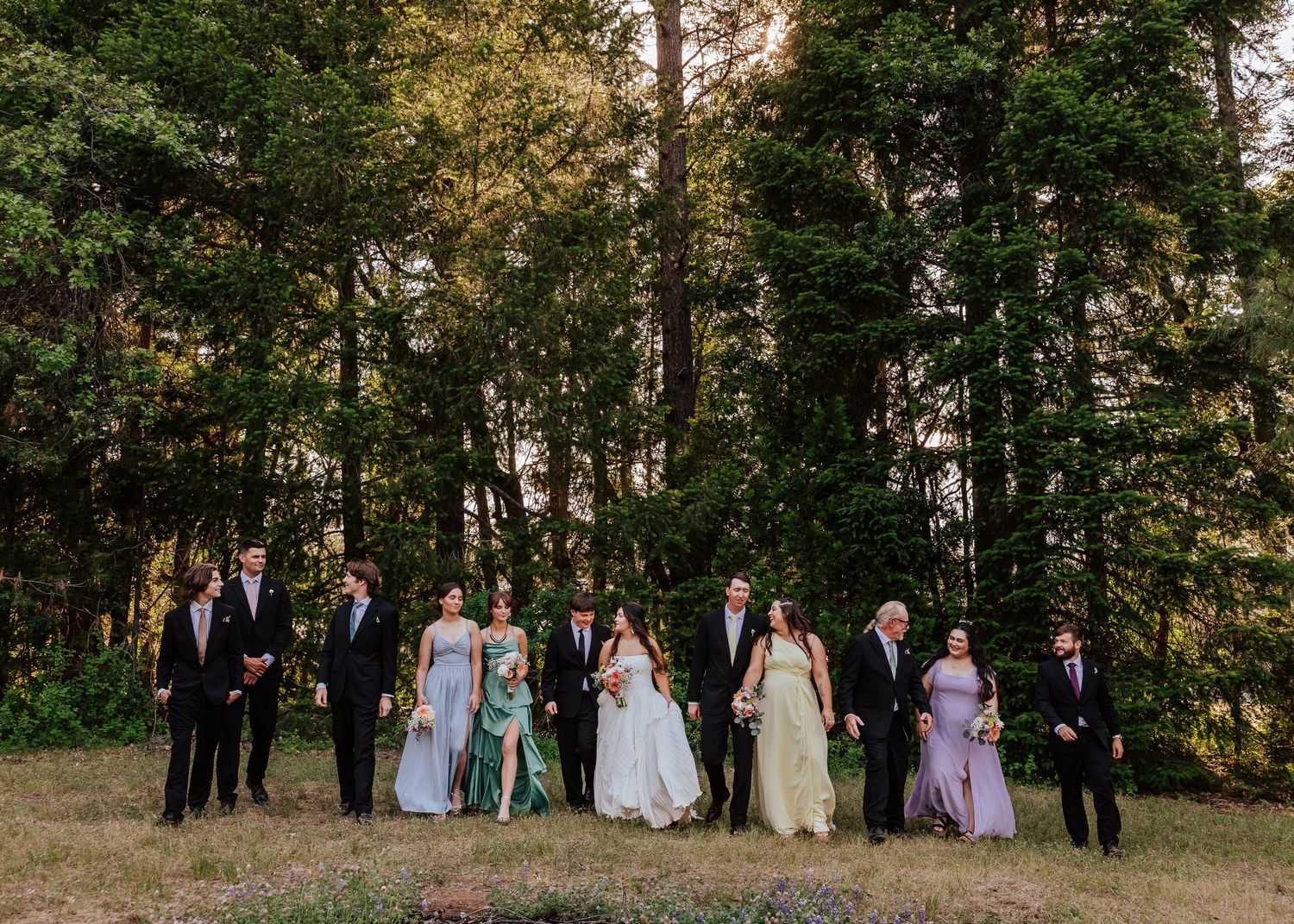 Wedding party poses outdoors in formal attire before tall green trees, featuring bride in white gown with bridesmaids and groomsmen.