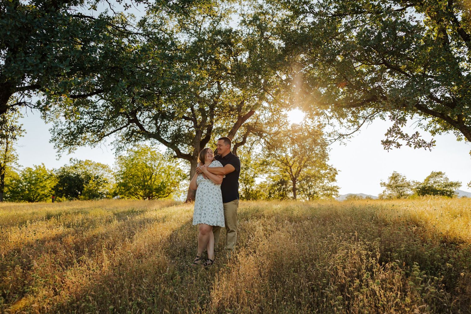 Couple embracing under large oak tree in sunlit meadow with golden grass during outdoor engagement photo session.