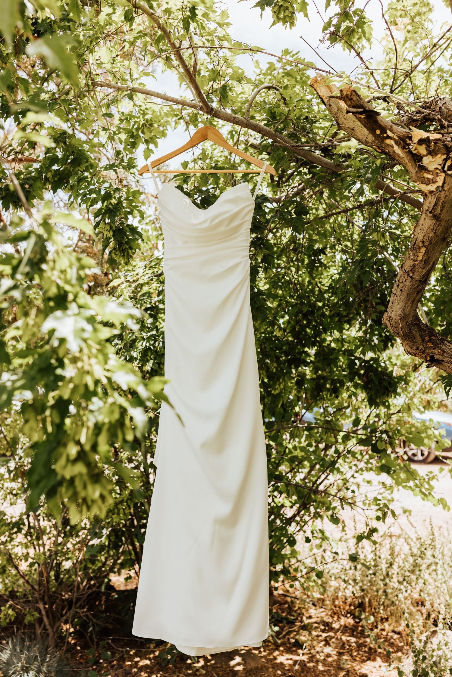 White wedding dress hangs elegantly against green foliage outdoors.