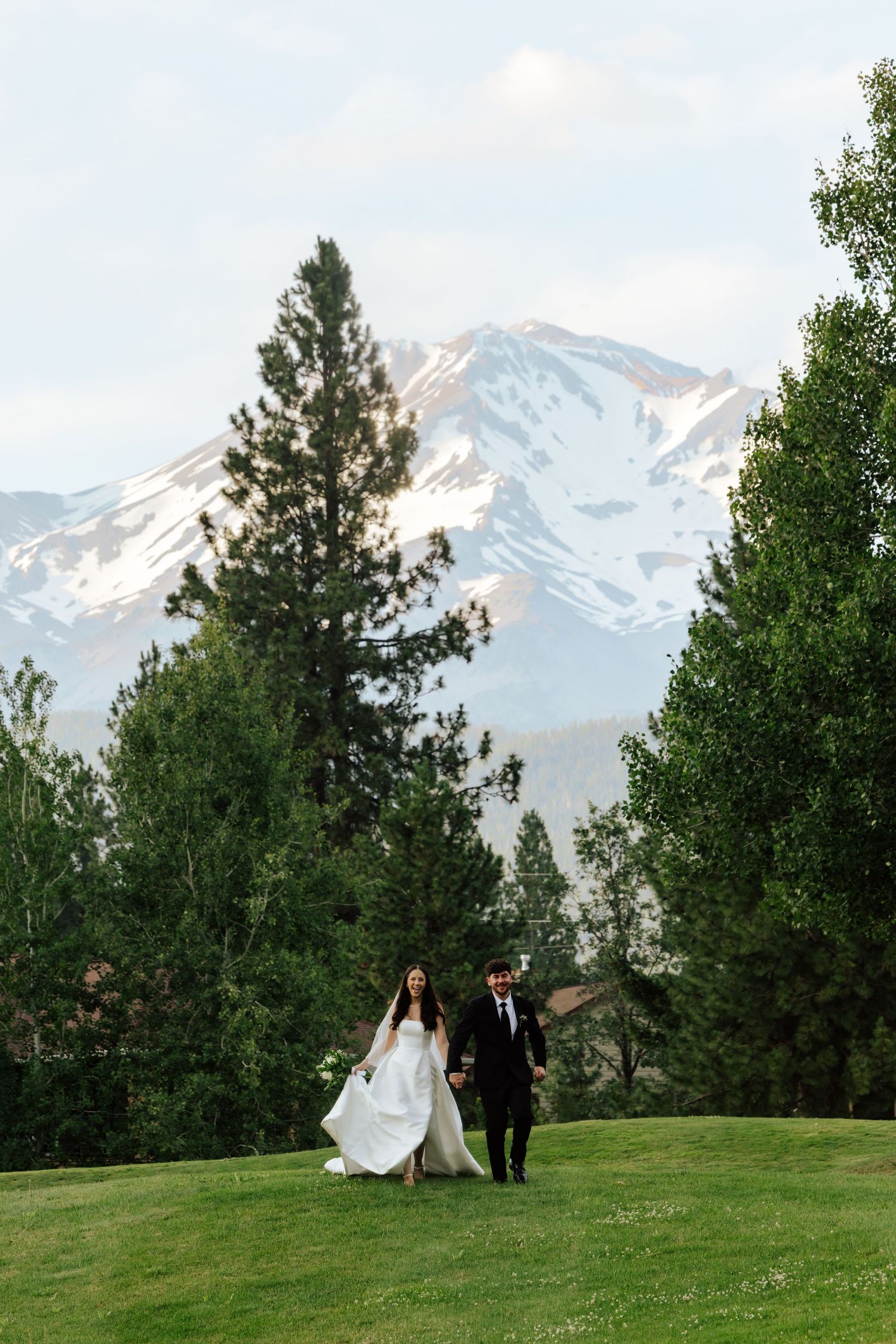 Bride and groom walk hand-in-hand on green lawn with snow-capped mountain and tall pine trees in background.