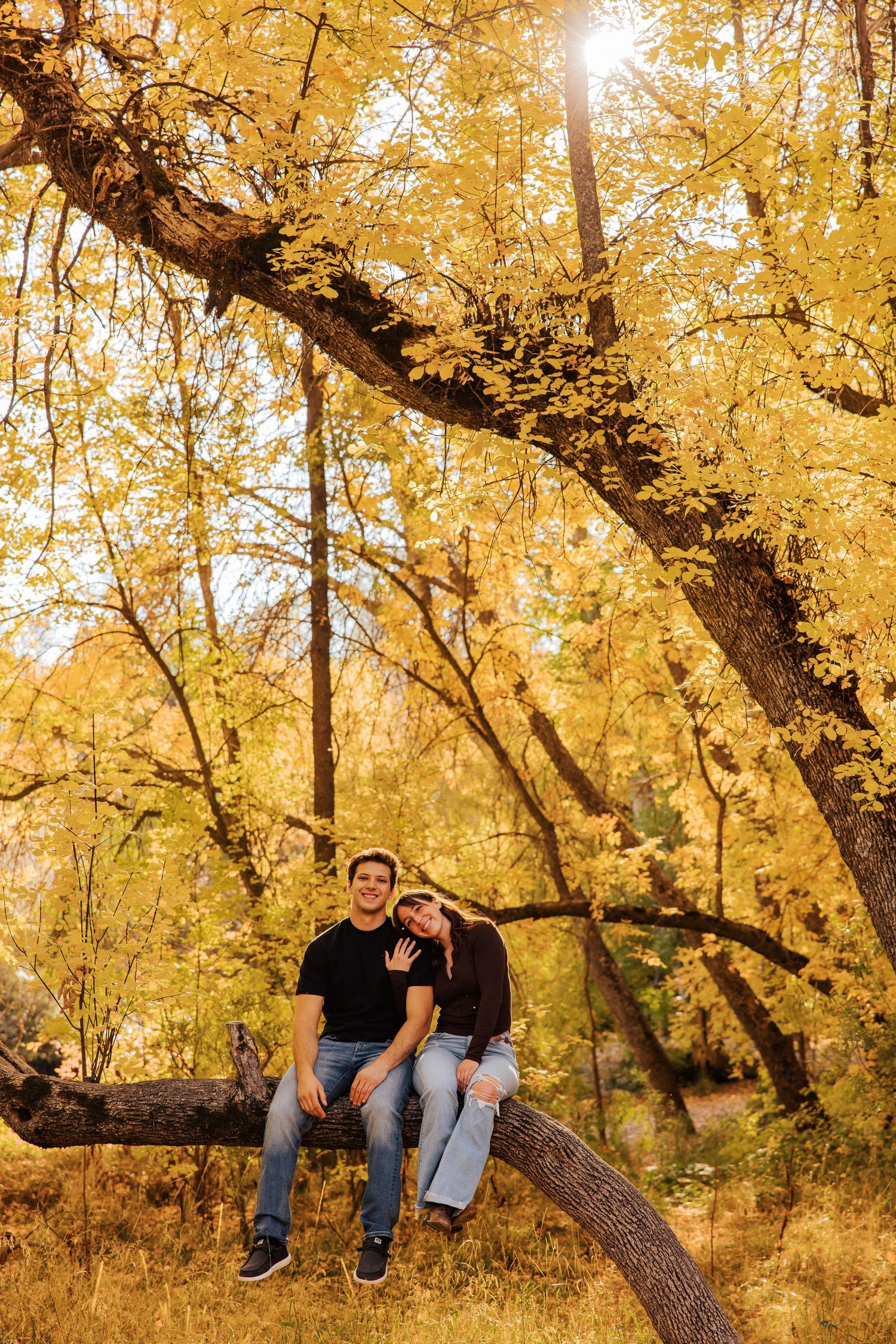 Two people sit together on a tree branch surrounded by vibrant yellow fall foliage.