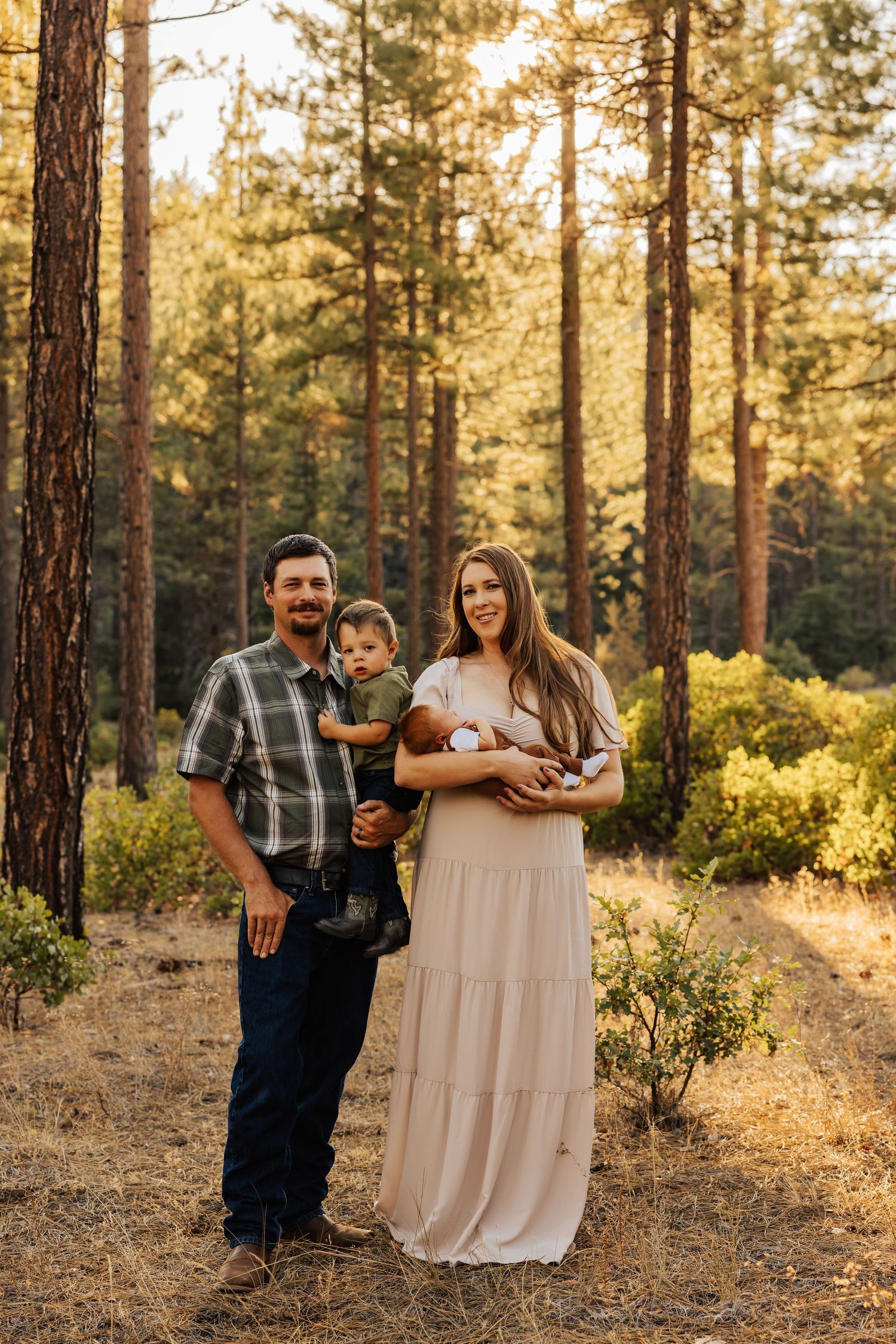 Rustic outdoor family portraits among pine trees at golden hour.