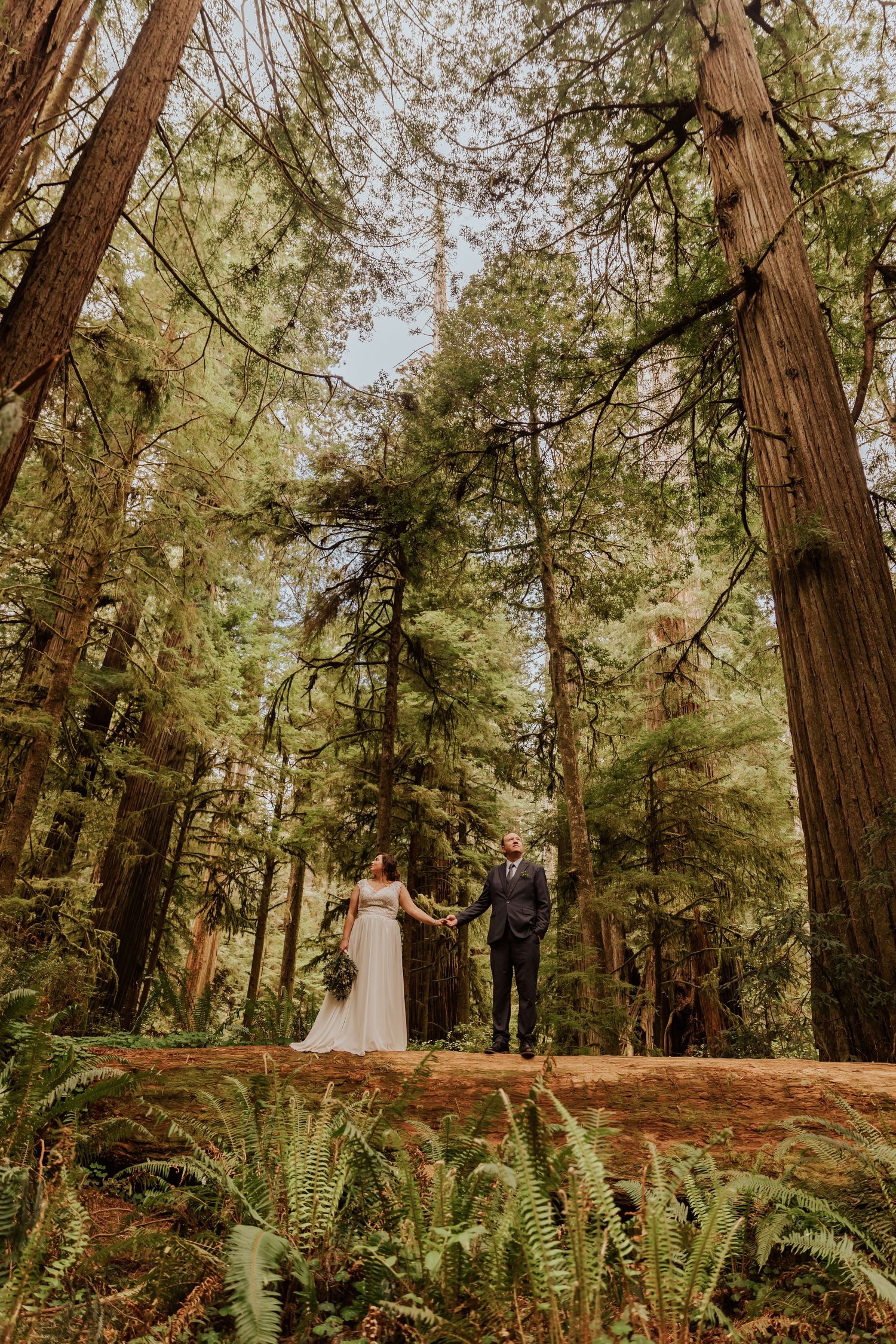 A wedding ceremony unfolds on a fallen redwood log in a sunlit forest setting.
