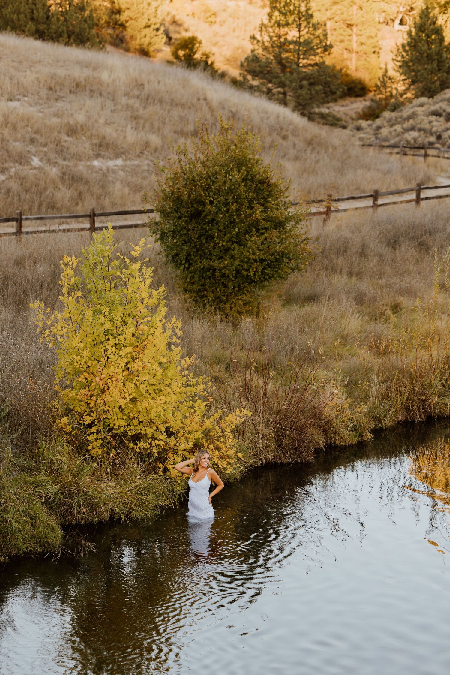 Figure in white dress wades in stream beneath yellow fall foliage and wooden fence.