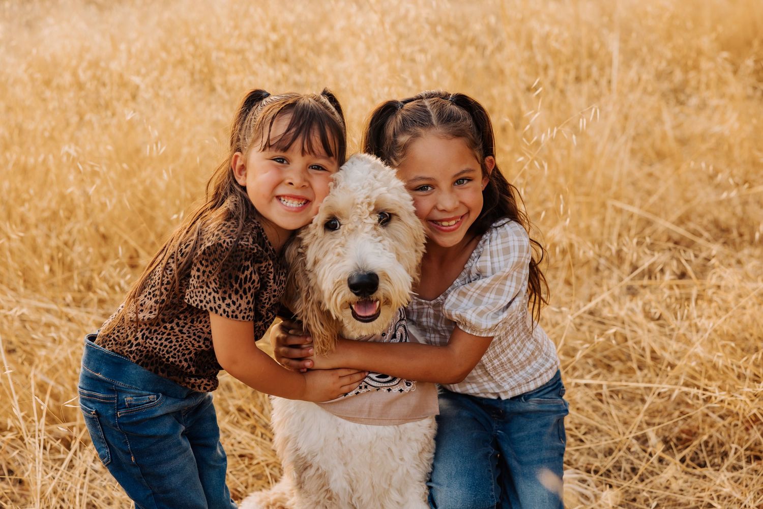 Children and their fluffy white dog pose together in a golden field.