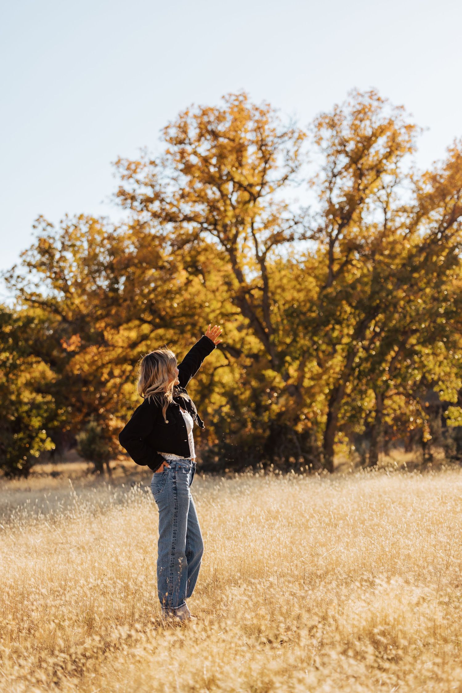 A figure stands in a golden autumn field with sun-lit trees in the background during golden hour.