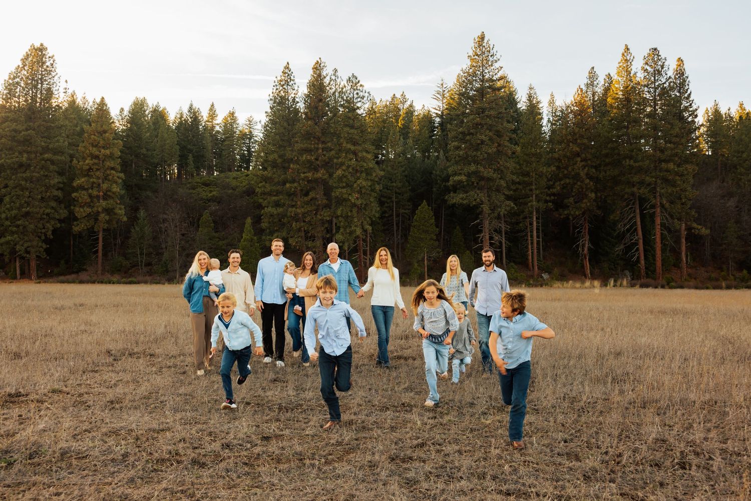 Family members run and play together in a golden field surrounded by tall pine trees.