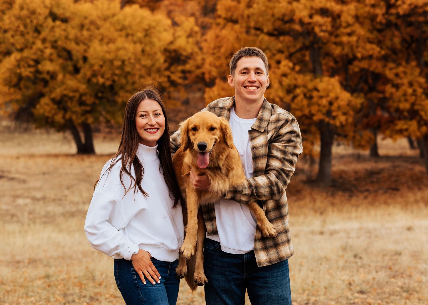 Series of casual outdoor portraits with a golden retriever in autumn setting.
