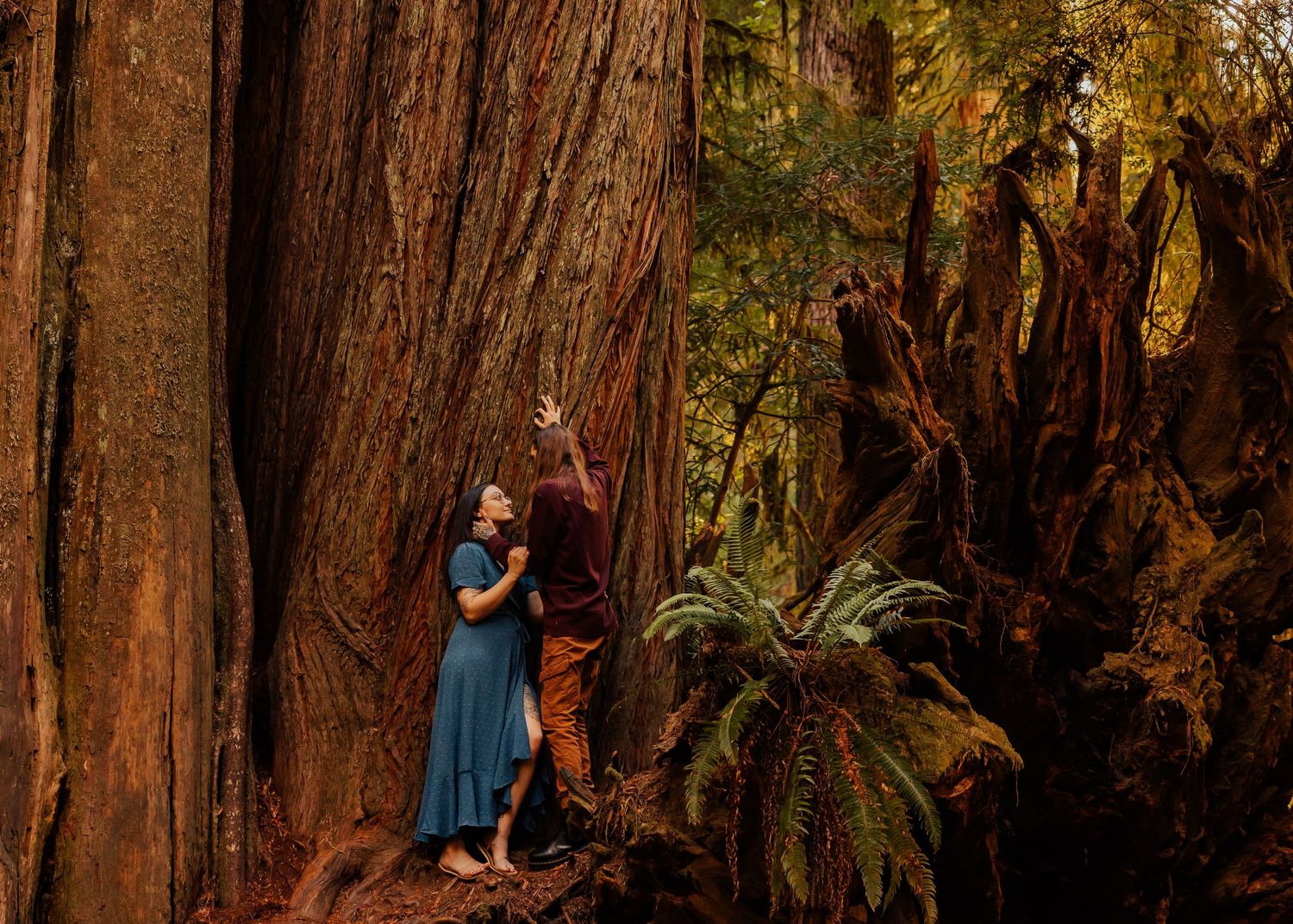 A couple embraces among towering redwood trees and ferns in a mystical forest setting.