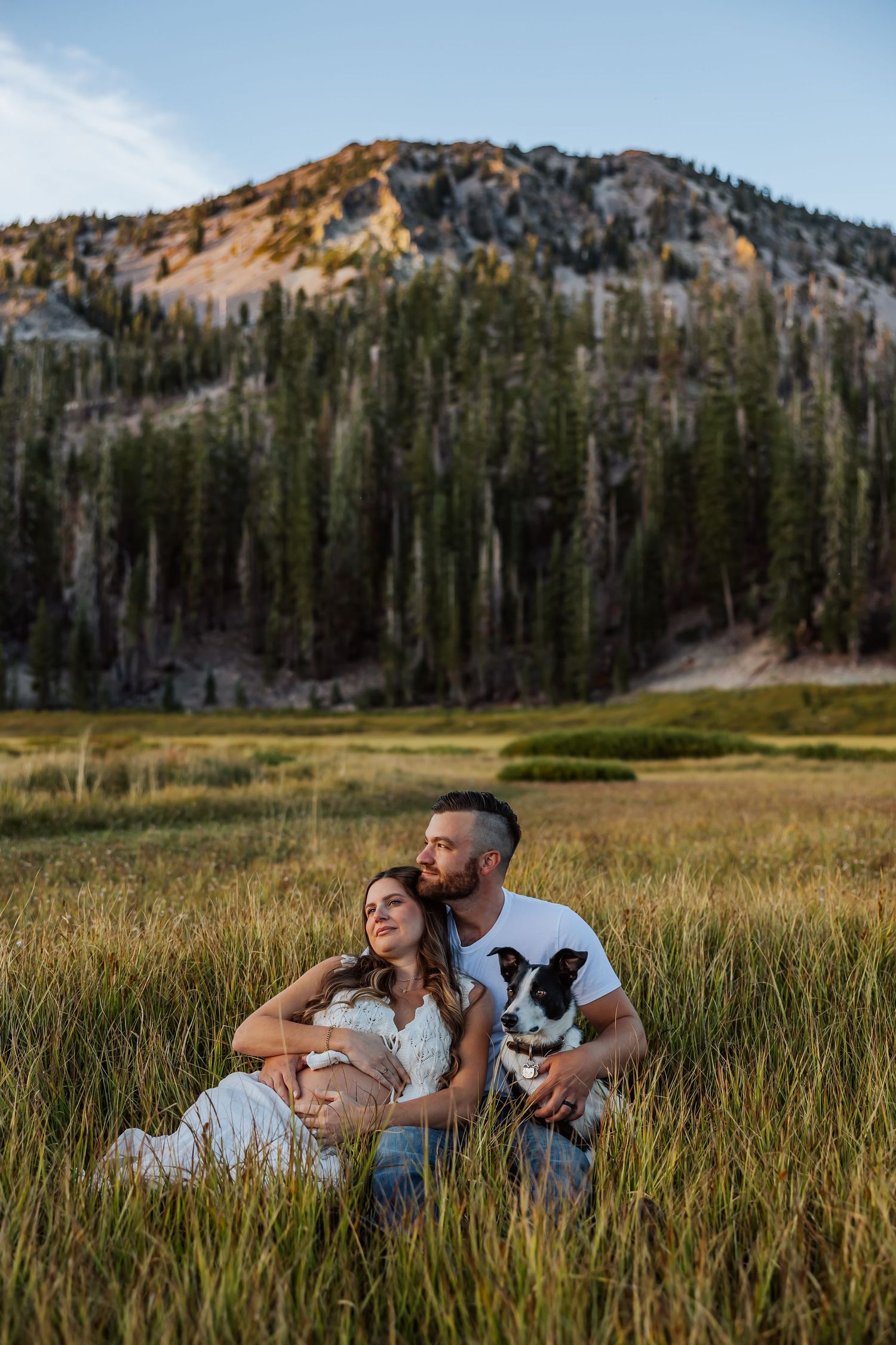 Couple sits in tall grass with dog, mountain and pine forest backdrop, maternity photo session outdoors.