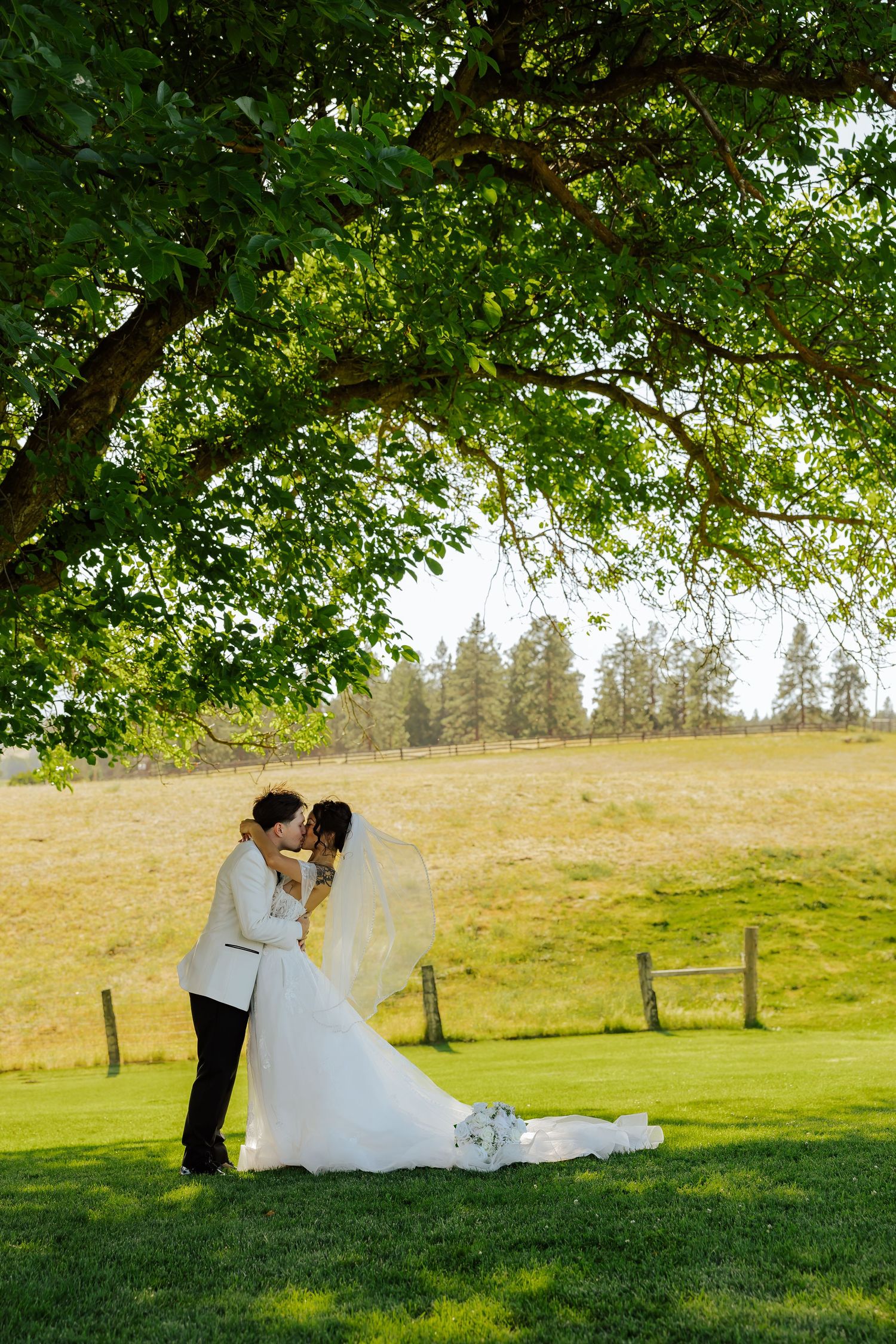 Bride and groom sharing a kiss under a large green tree on a lush lawn with a golden hillside backdrop.