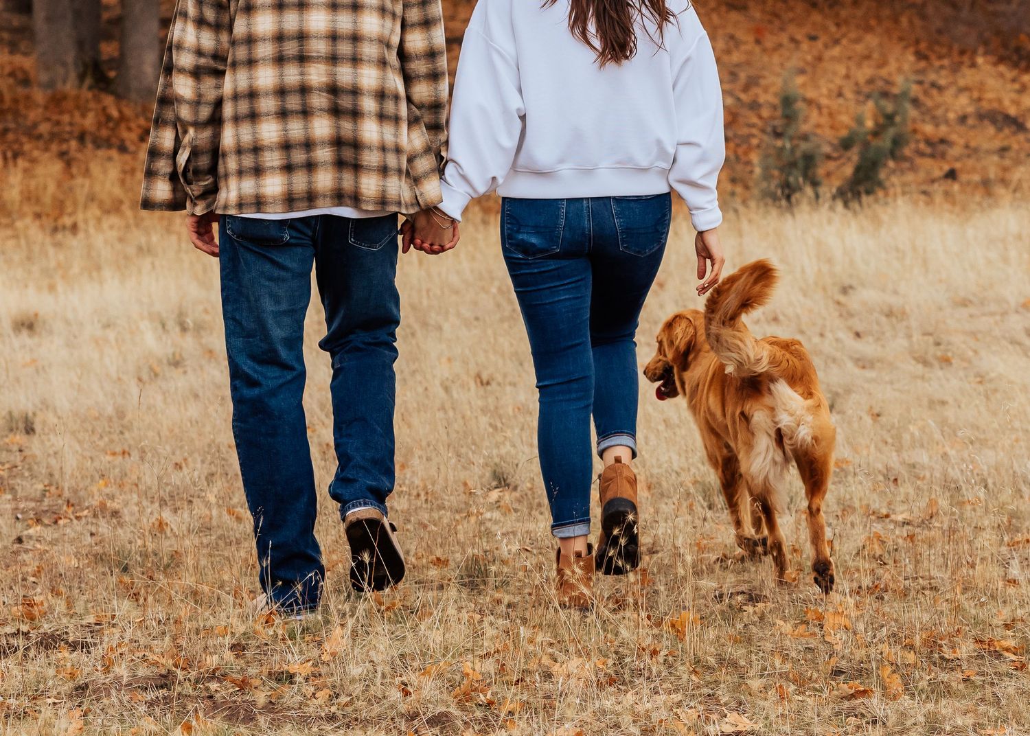 People walking with a golden retriever on a path through an autumn landscape.