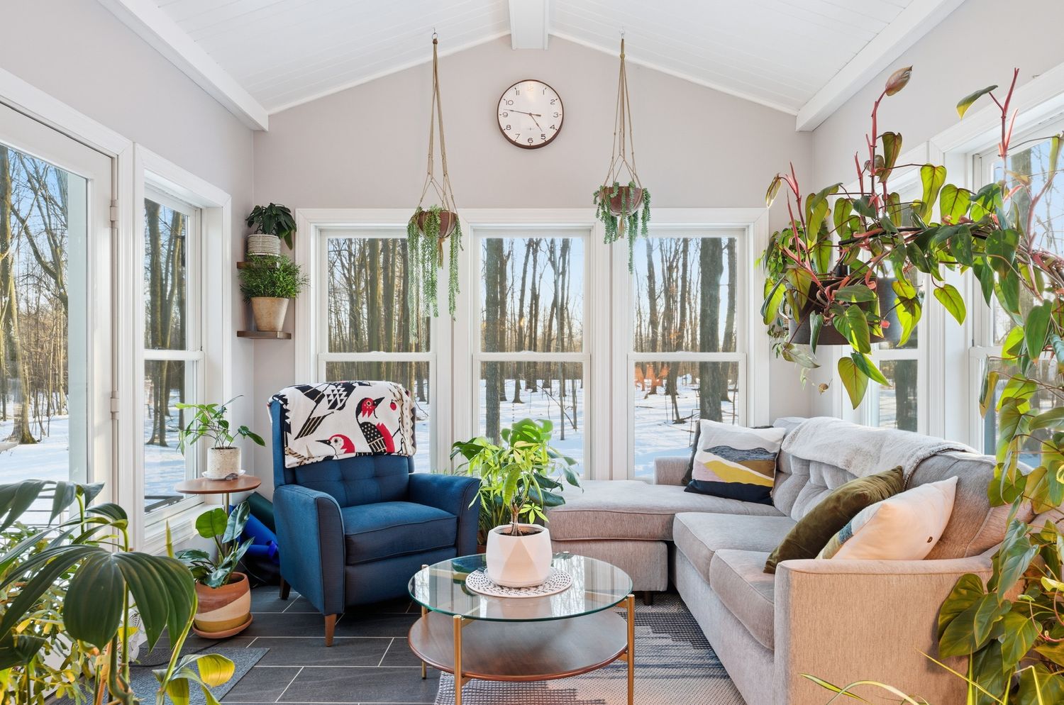 Bright sunroom with vaulted ceiling features blue armchair, gray sofa, hanging plants and large windows overlooking trees. Marshfield, WI