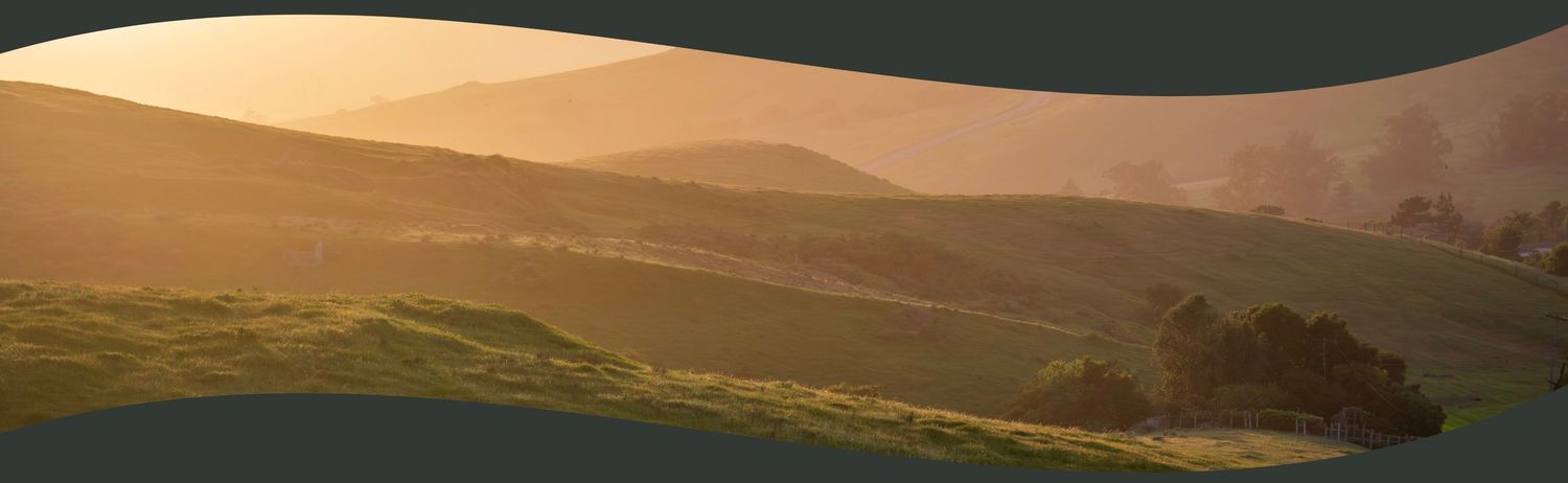 Rolling golden hills at sunset with mountain silhouettes in the distance.