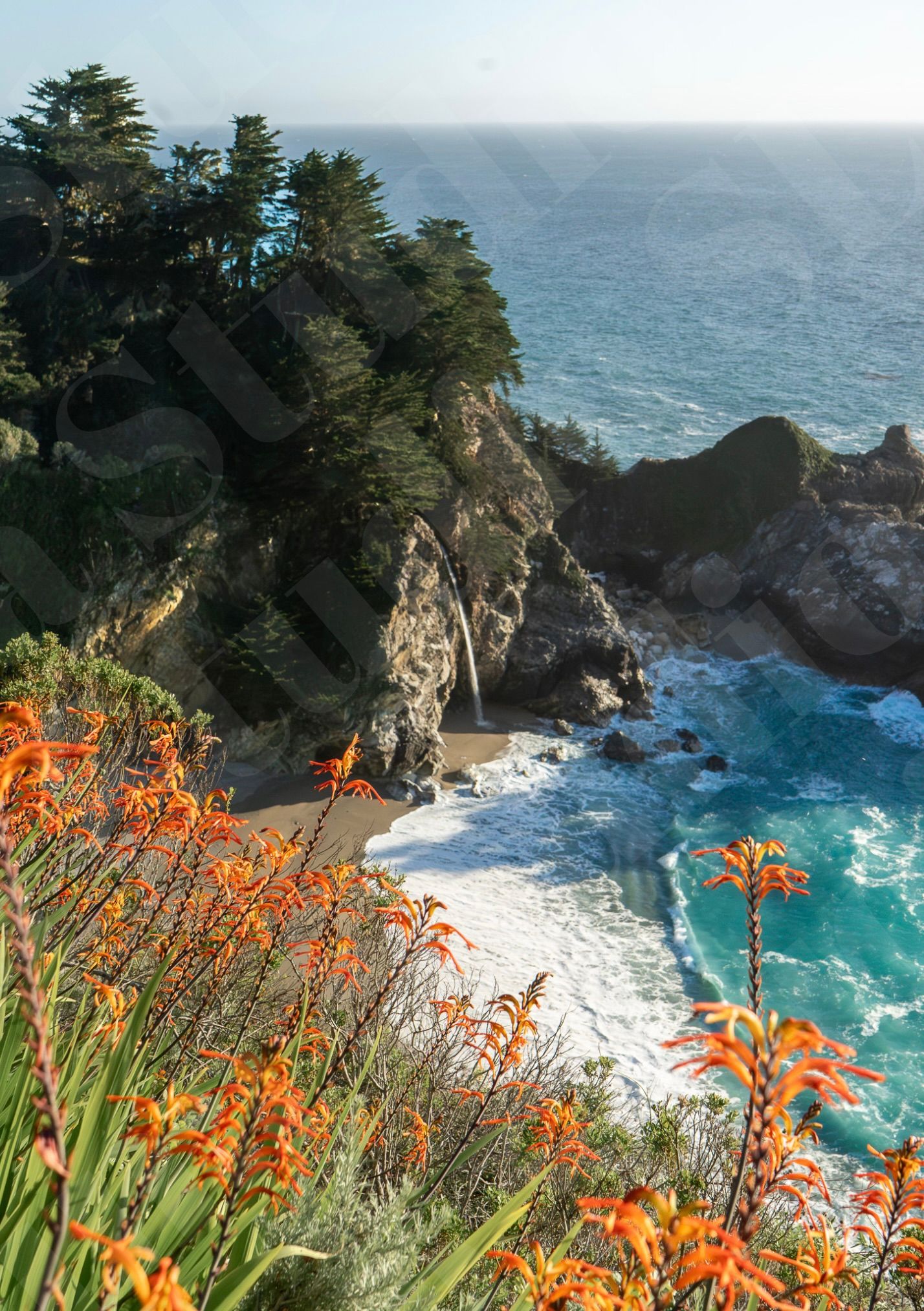 Coastal cliffs with orange wildflowers overlooking a turquoise ocean cove and sandy beach at Big Sur, California.
