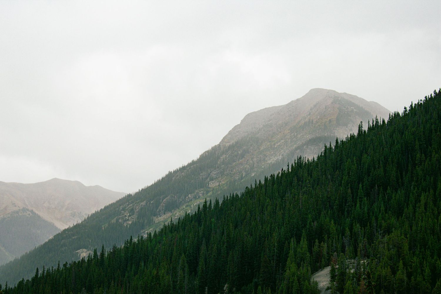 Misty mountain peak covered in dense evergreen forest against an overcast sky.