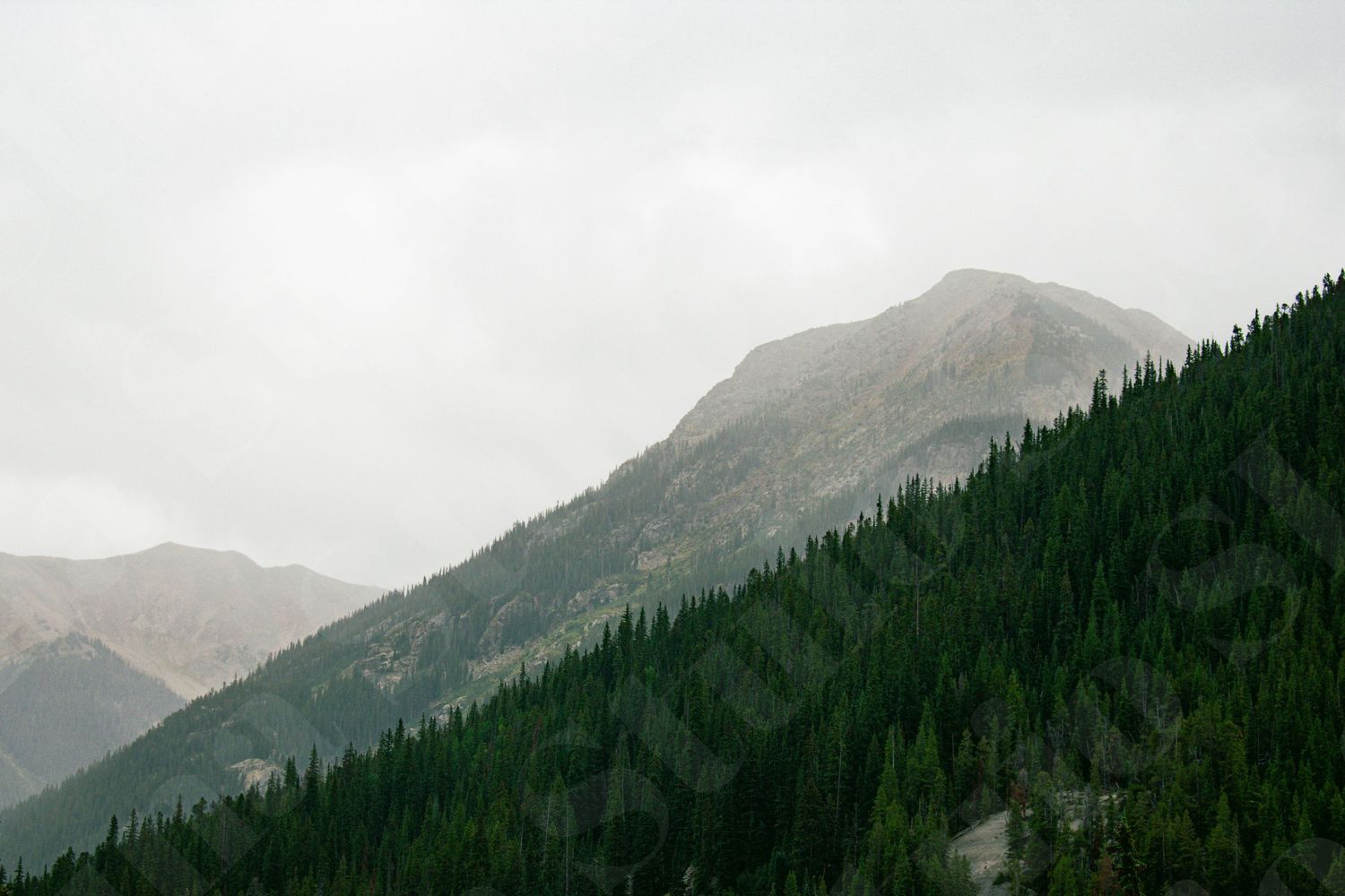 Misty mountain peaks covered in evergreen forest under overcast skies.
