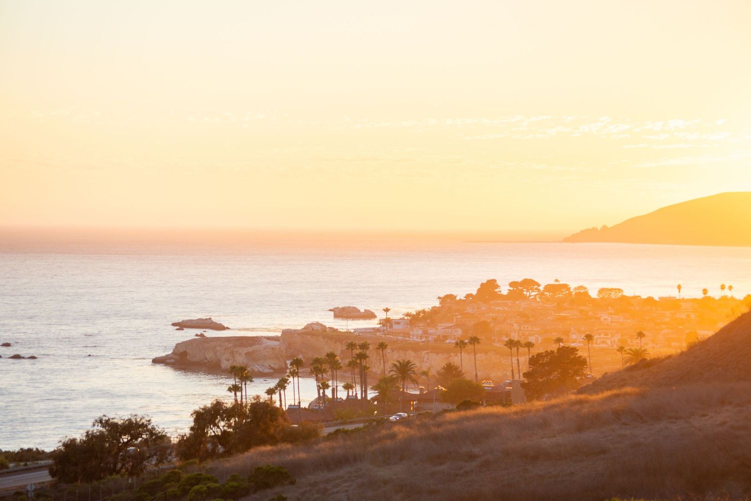 Coastal sunset landscape with silhouetted palm trees and rocky coastline overlooking the ocean.