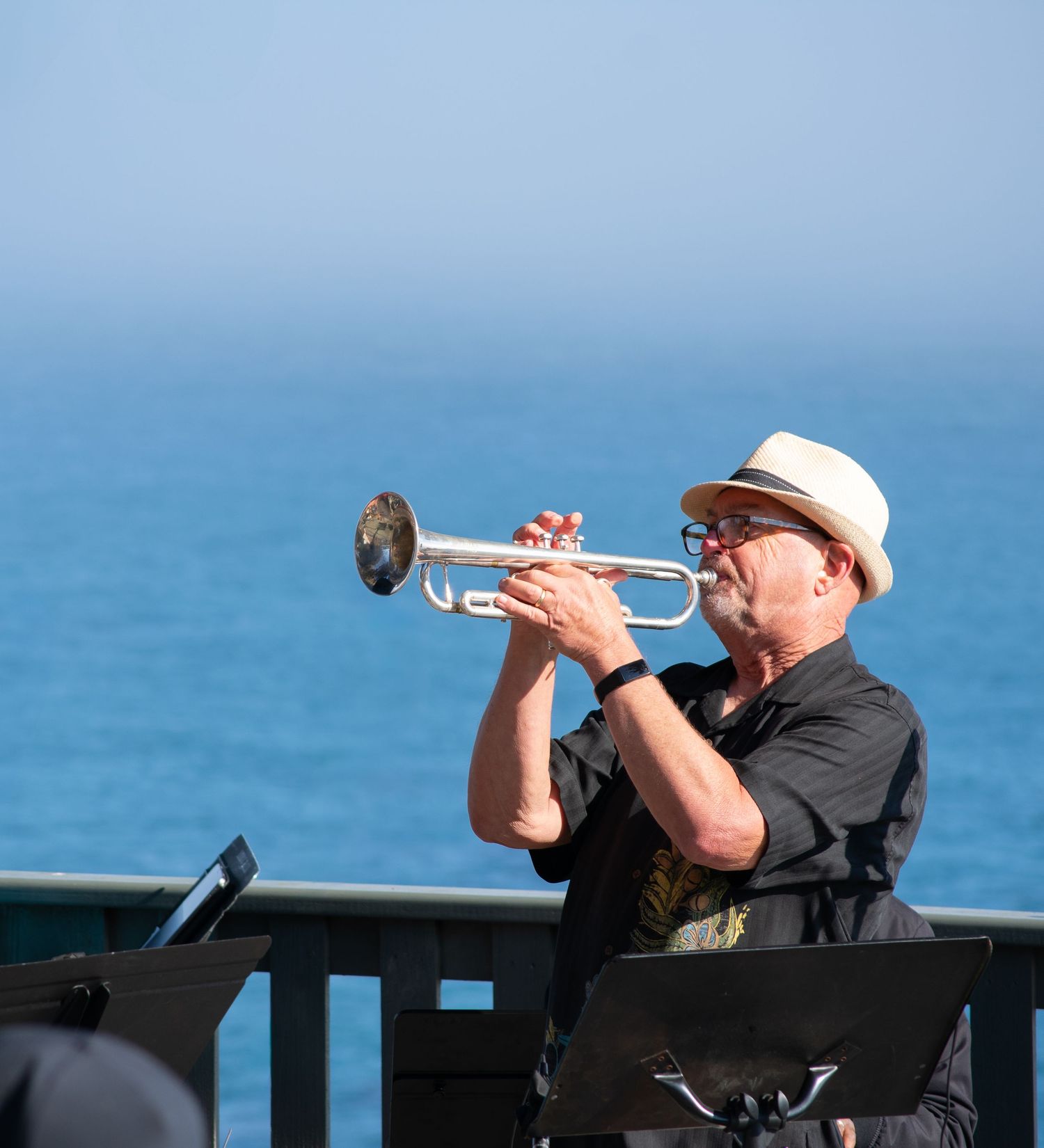 Trumpet player performs at oceanside venue during daytime concert.