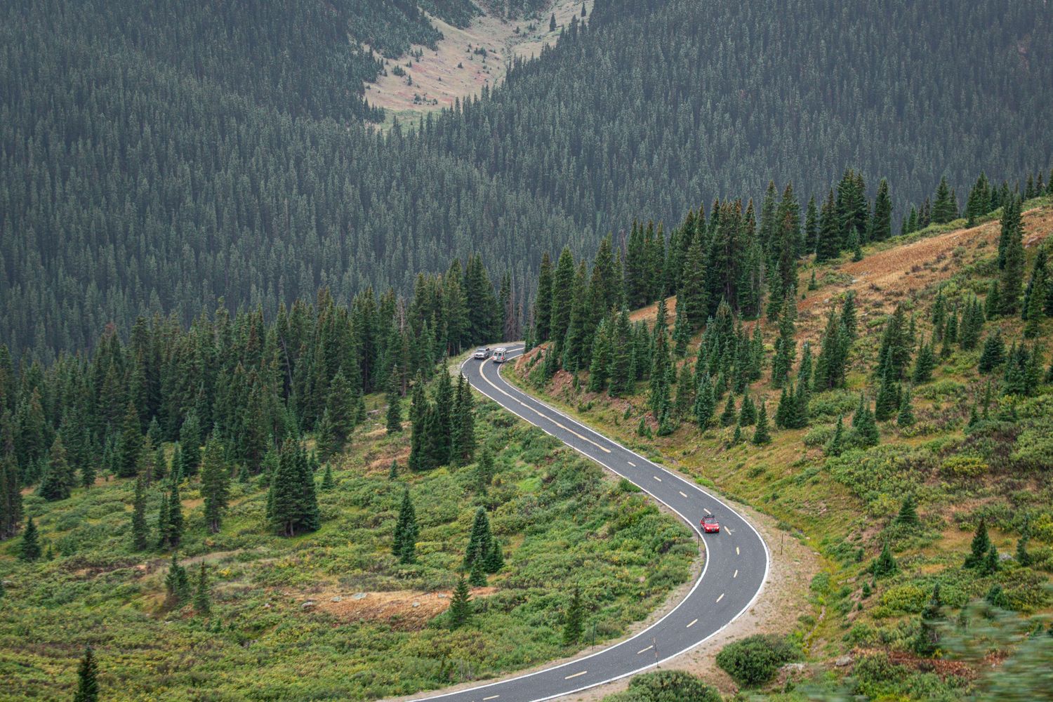 Winding mountain road curves through an alpine landscape with evergreen forest and distant peaks.