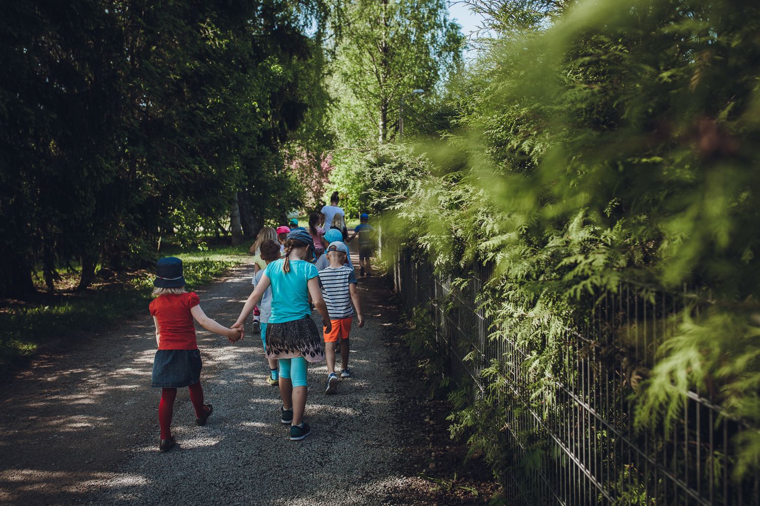 Children walking along a tree-lined path during an outdoor activity.