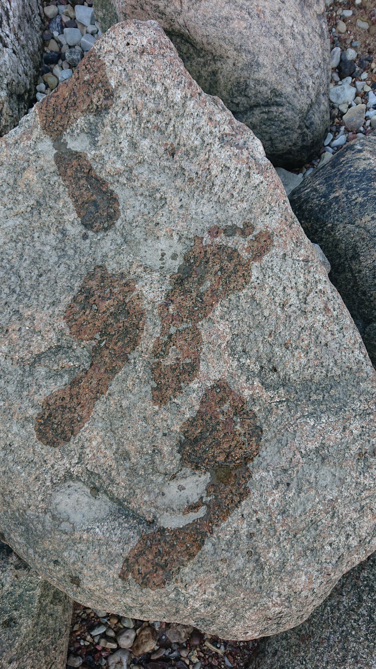 Close-up view of granite rock surface with natural patterns and textures.