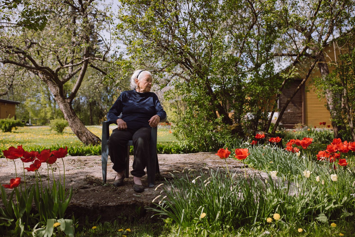 A garden path winds through red tulips and trees with someone resting on a bench in the distance.