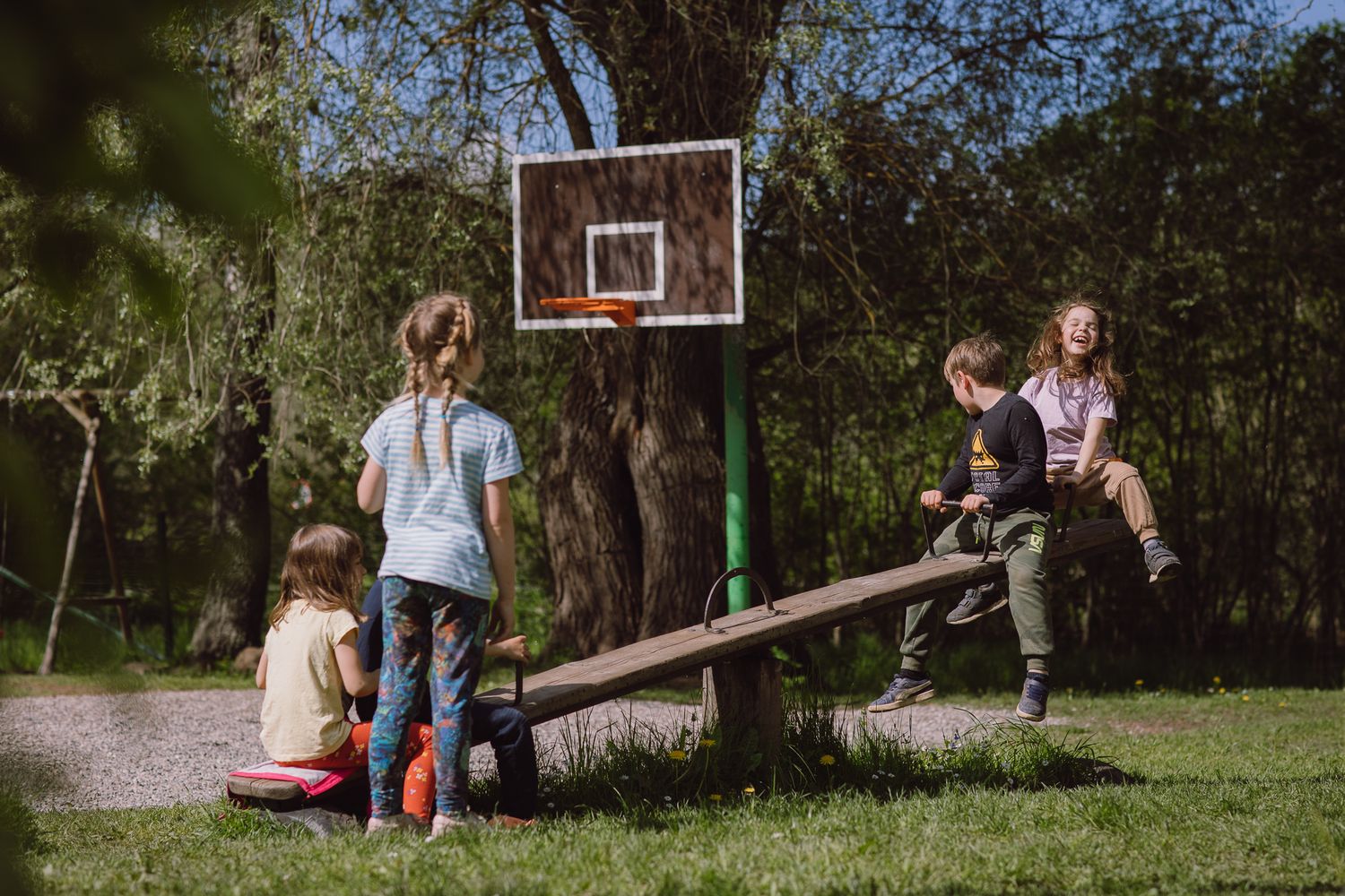 Children play on wooden seesaws in a wooded playground area with basketball hoop visible.