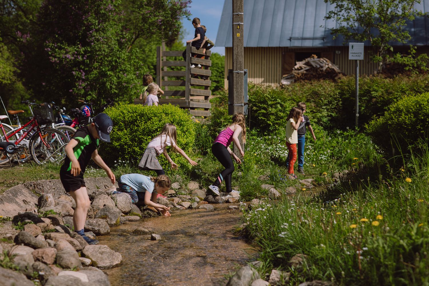 Group navigating a rocky path through lush garden landscaping on a sunny day.