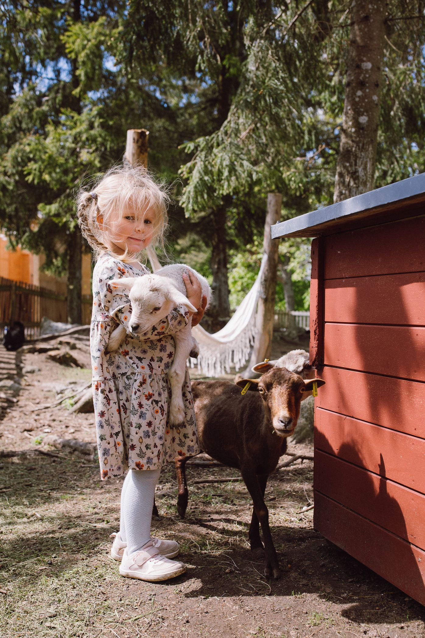 A child in floral pajamas stands next to a small goat by a red shed.