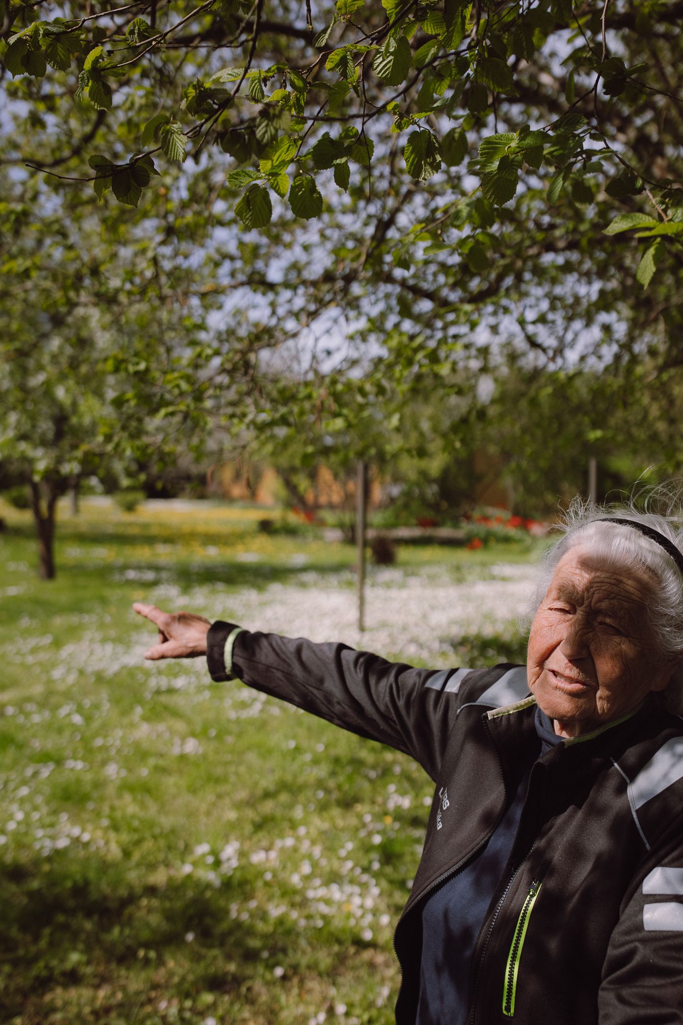 Person in dark jacket makes celebratory gesture with arms outstretched in spring orchard with blooming trees.