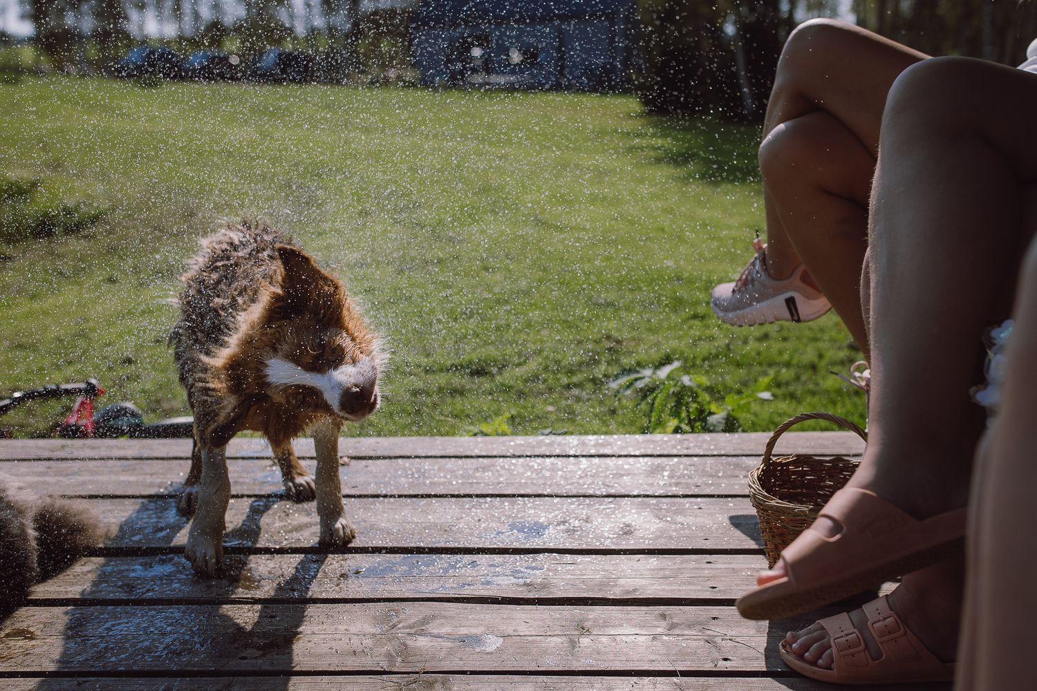 Wooden deck with people's feet and dog visible in outdoor setting.