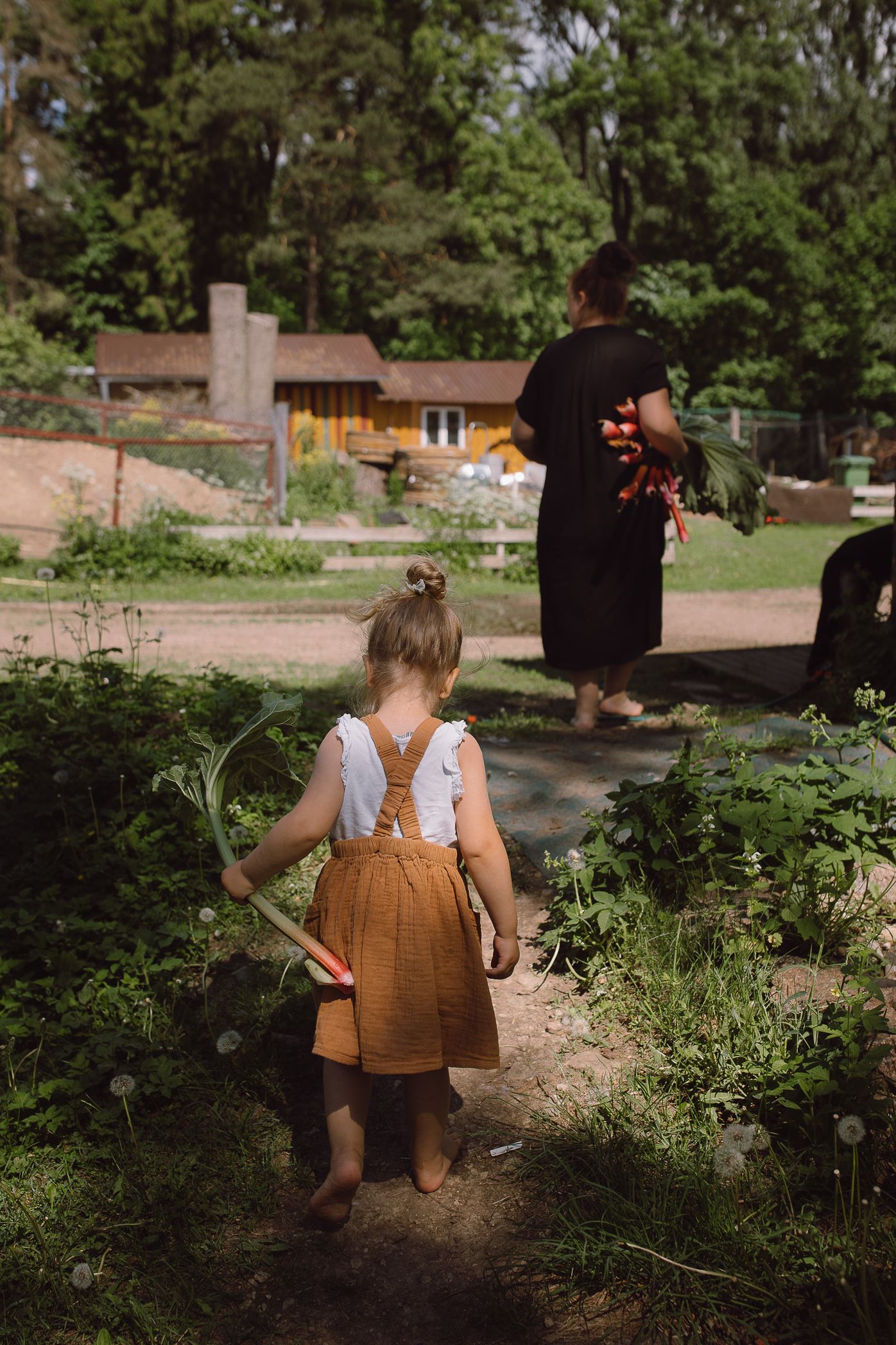 A child in overalls walks along a garden path on a sunny day.