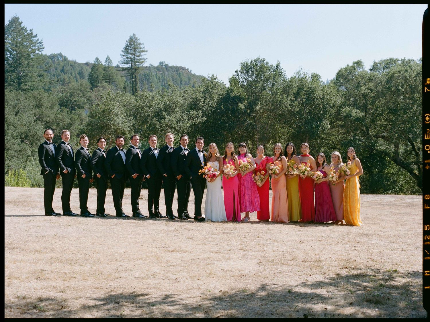 Wedding party lines up outdoors, groomsmen in black suits beside bridesmaids in vibrant dresses.