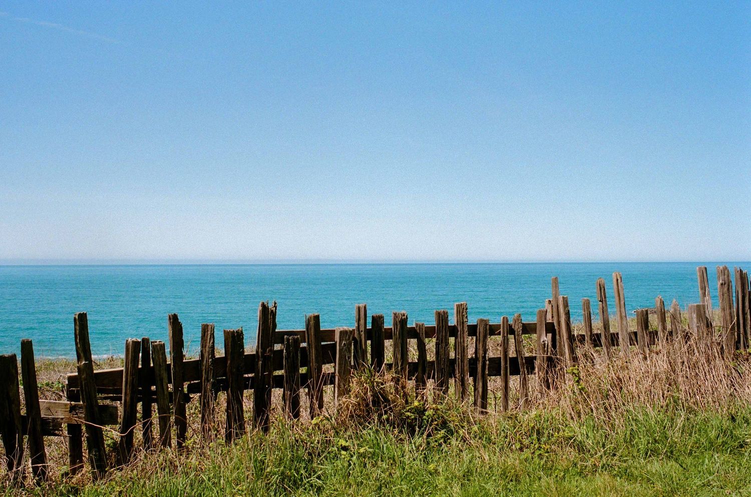 A rustic wooden fence overlooks the blue ocean horizon on a sunny day with tall grass swaying in the breeze.