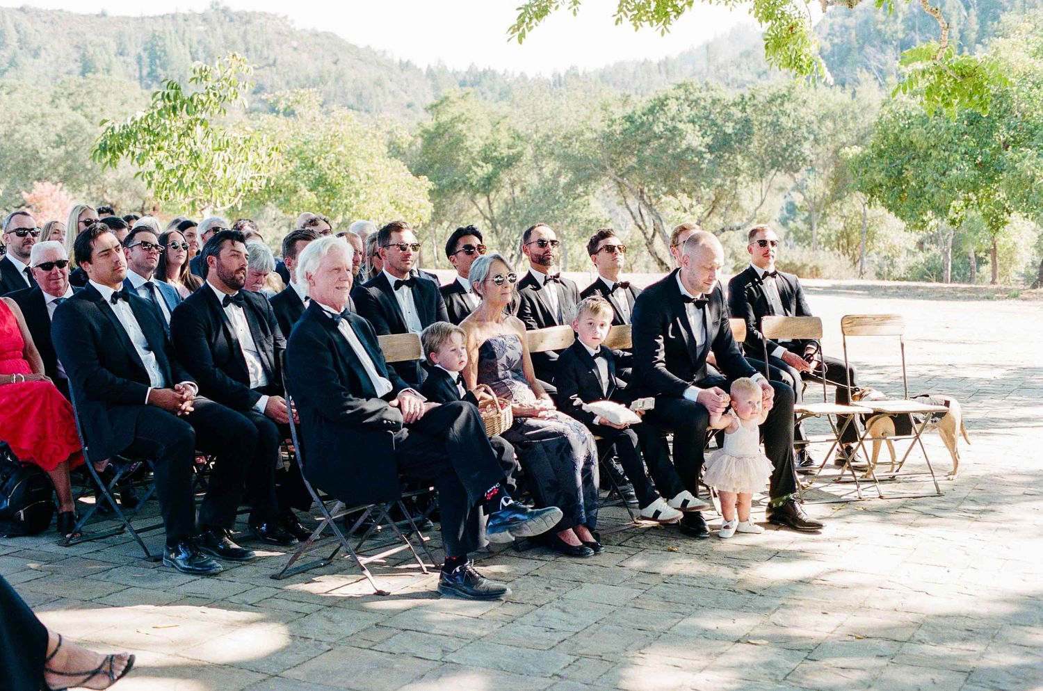 Wedding guests in formal attire seated outdoors for a sunlit ceremony in a natural setting.
